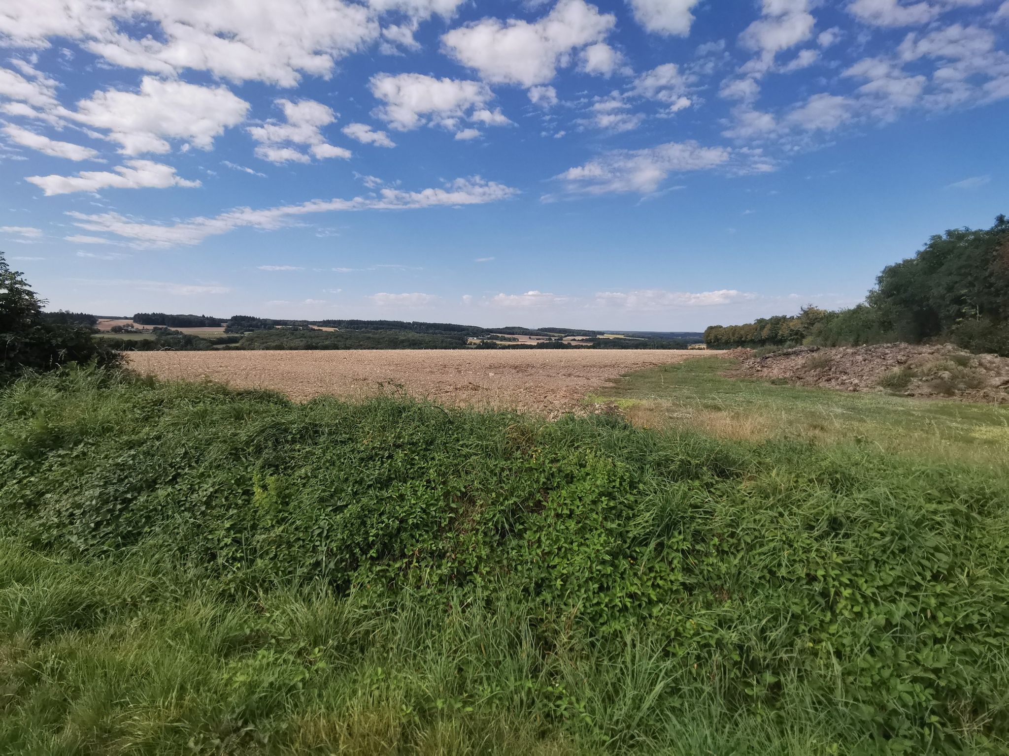 Field