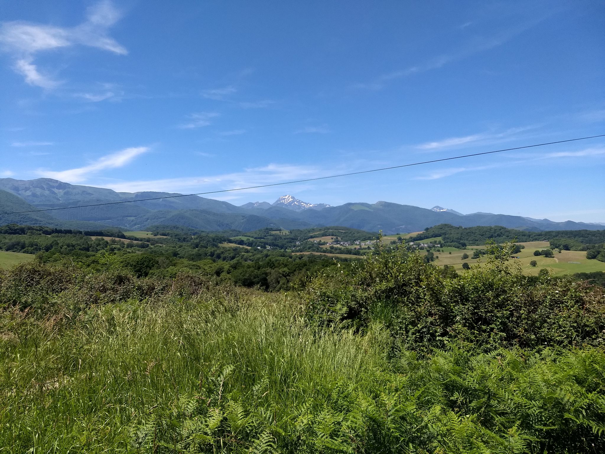 Landes d'Avezac.
