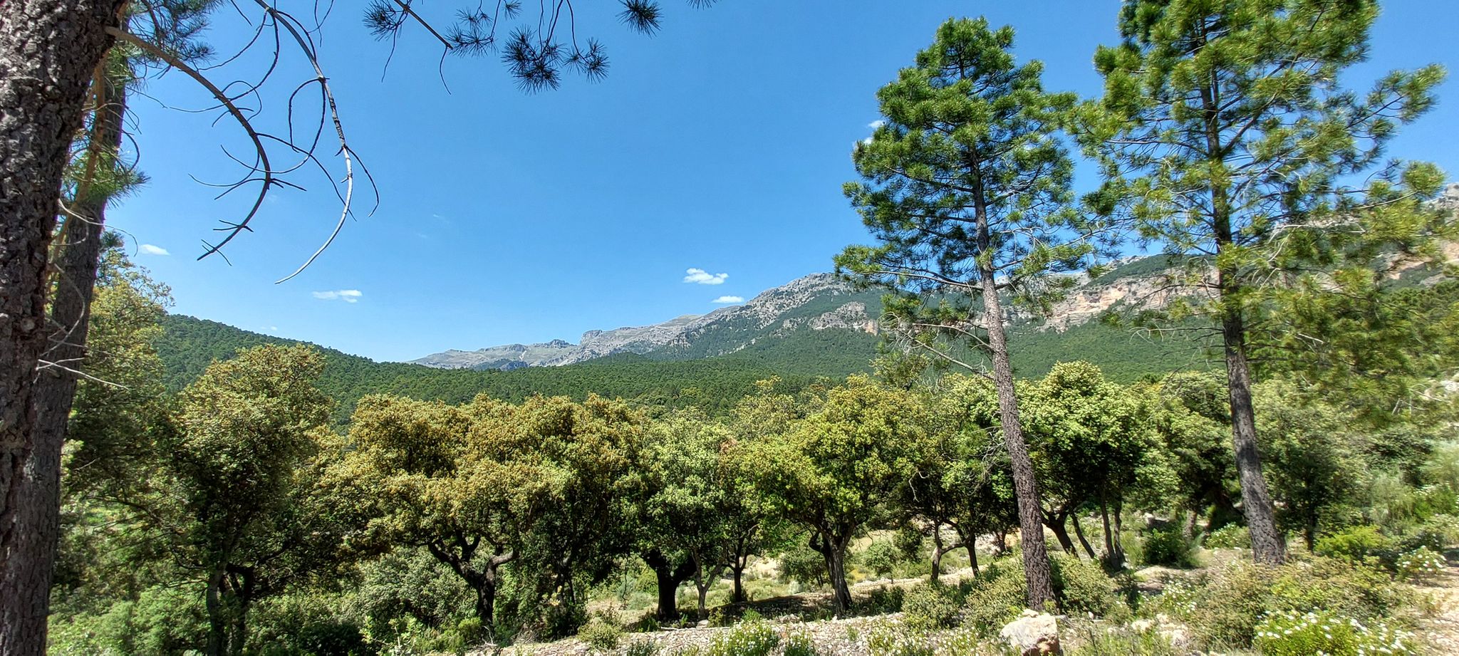 Calar de la Sima desde la subida a Los Prados.