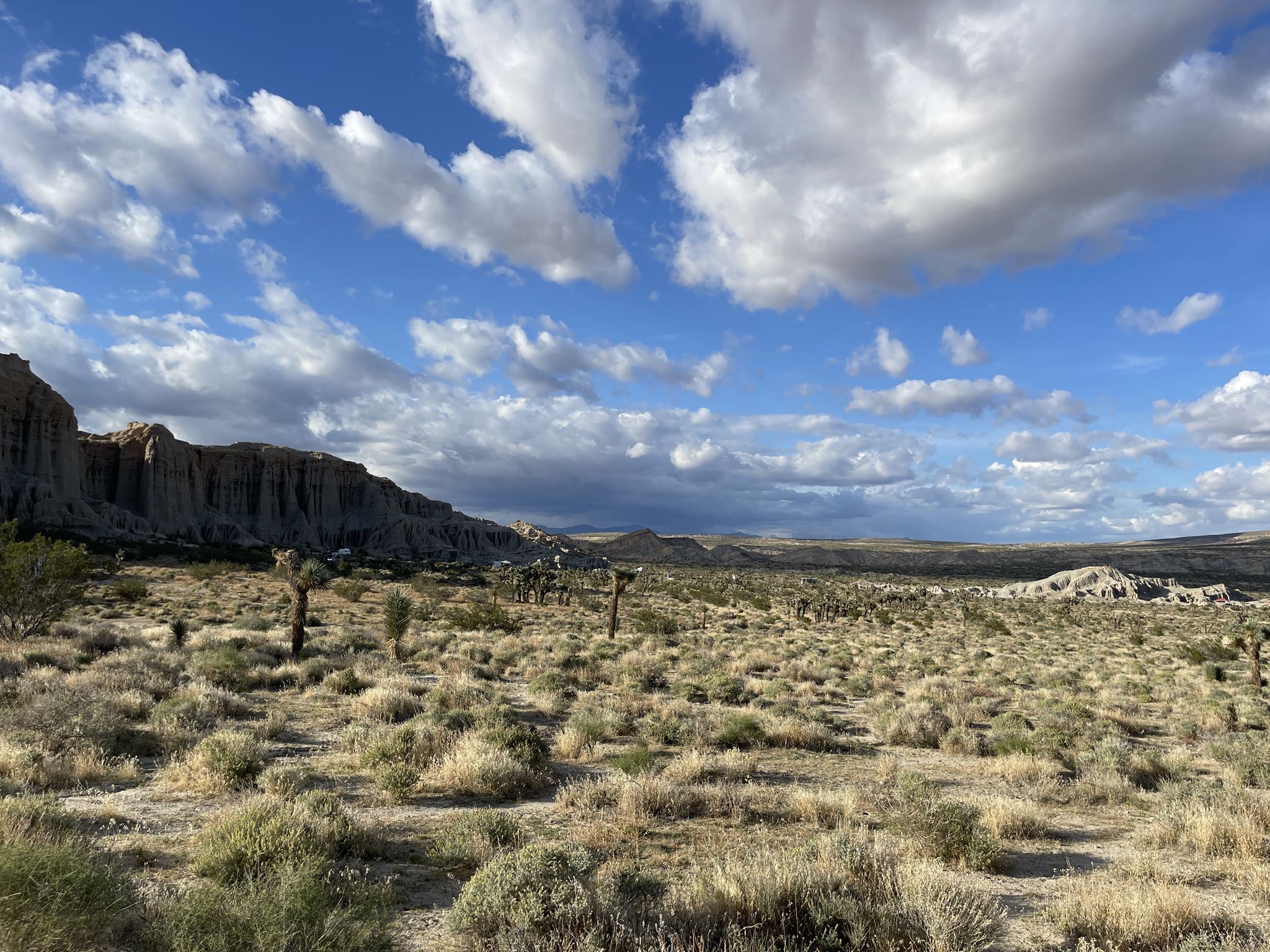 Expansive desert landscape with dry brush, Joshua trees, and cloudy sky. - Ricardo Campground