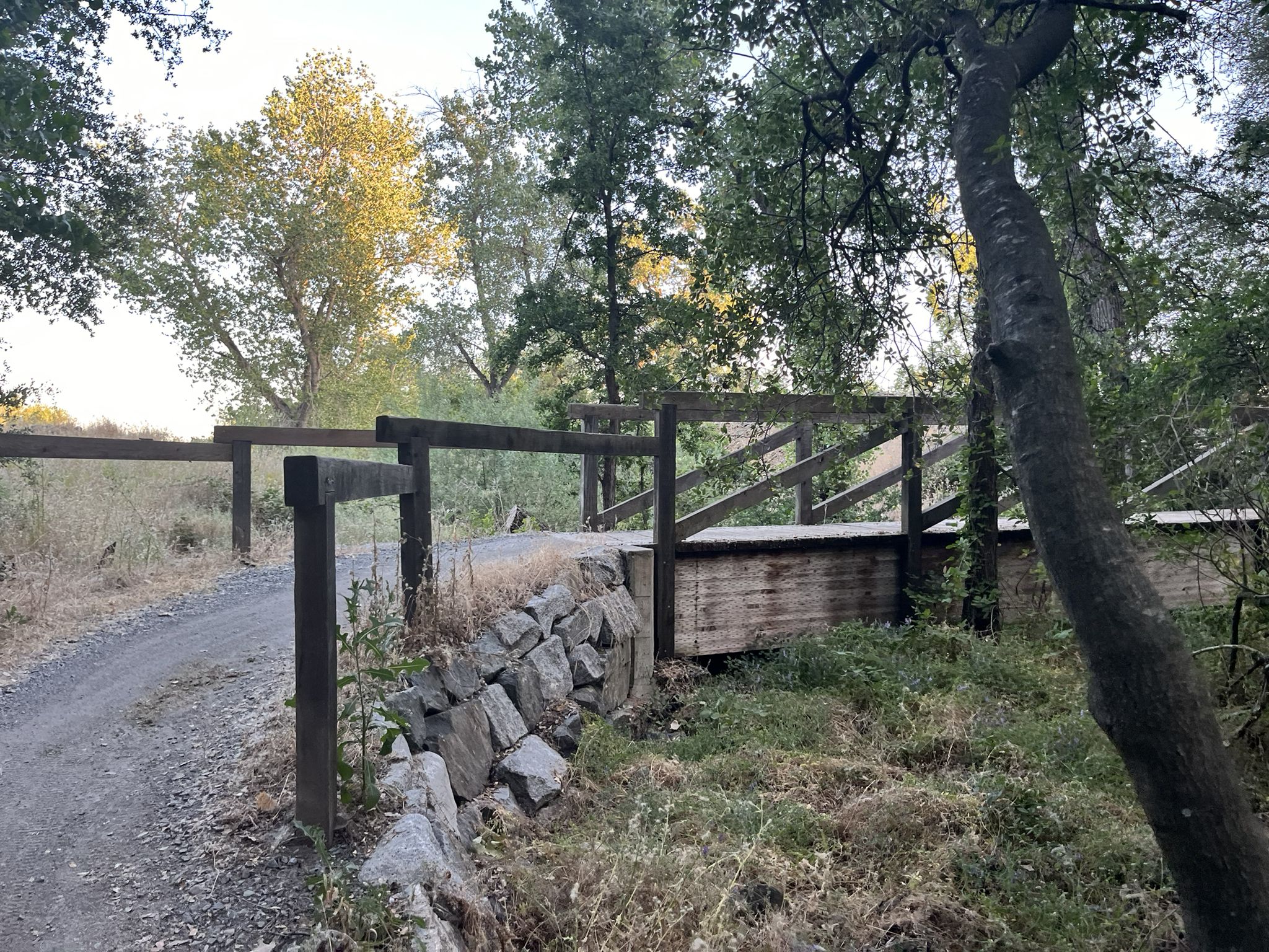 A rustic wooden bridge over a rocky ditch on a dirt path. - Folsom Lake State Recreation Area 5k running loop