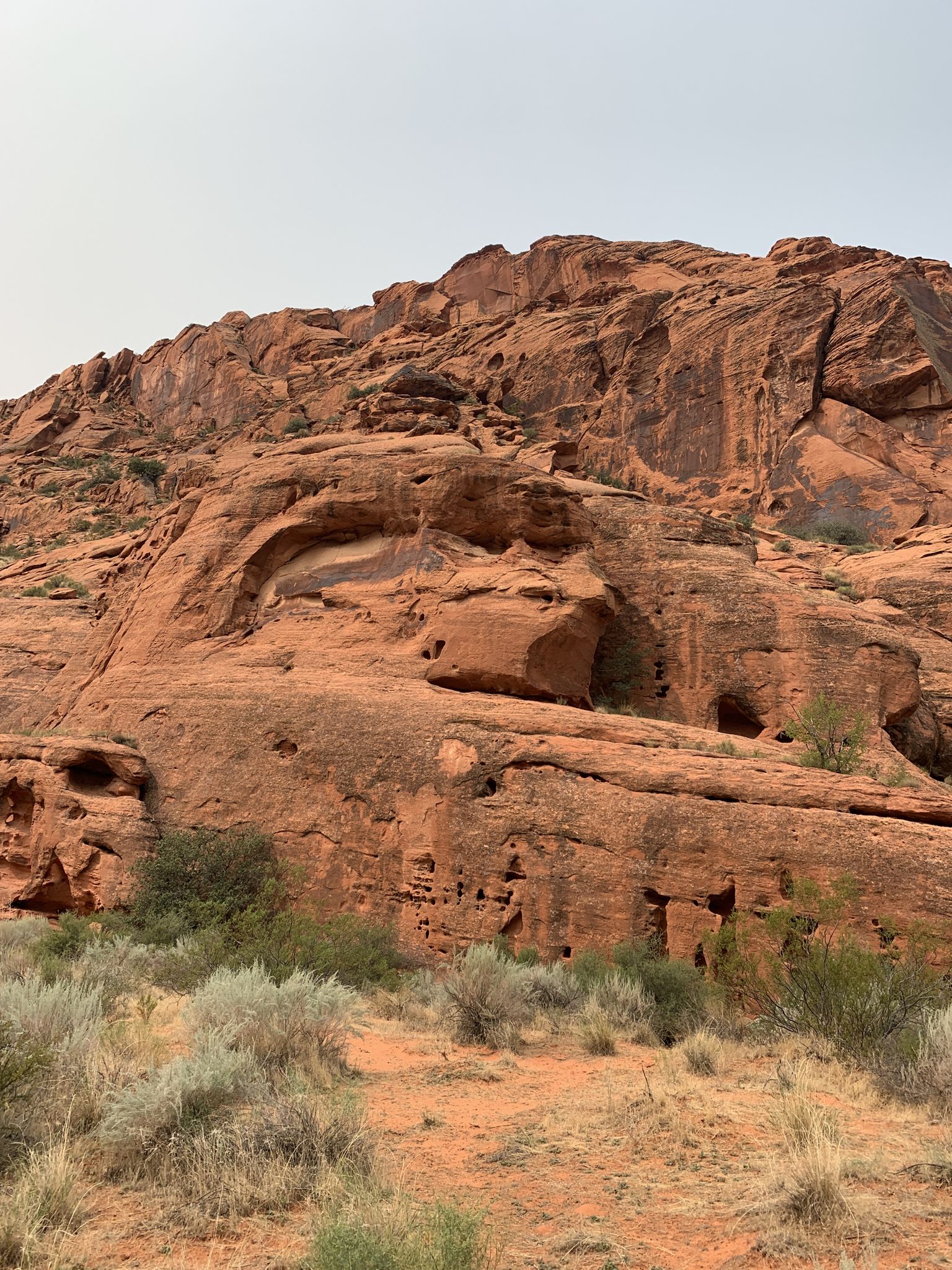 Detailed red rock cliff face with natural arch and caves, sparse desert plants. - Whiptail Trail – Snow Canyon Road loop from Eagle Rock