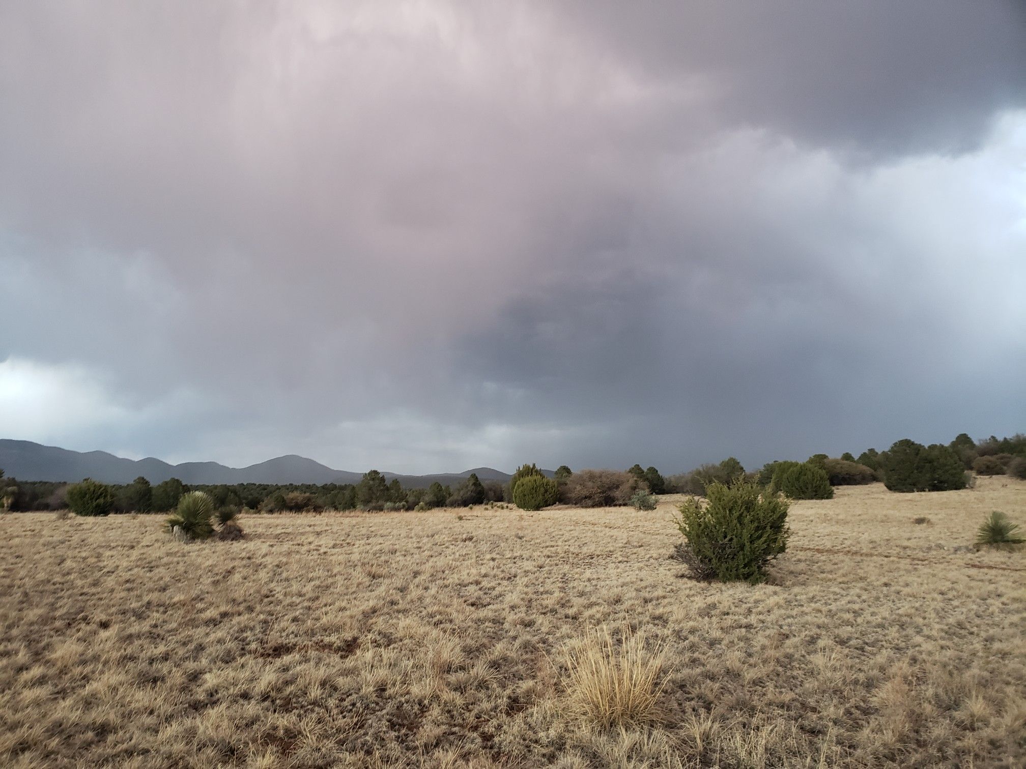 Dry grass field with distant mountains under a dramatic, stormy sky. - Twin Sisters Creek and Dragonfly Outer Loop