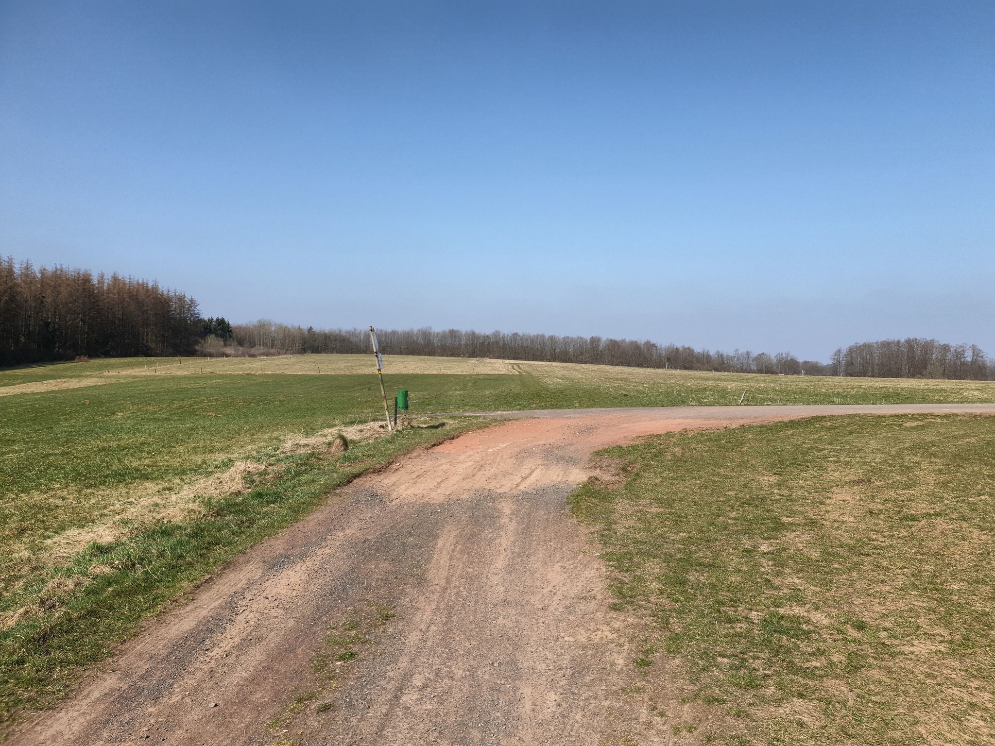 Komoot sagt geradeaus in die Wiese