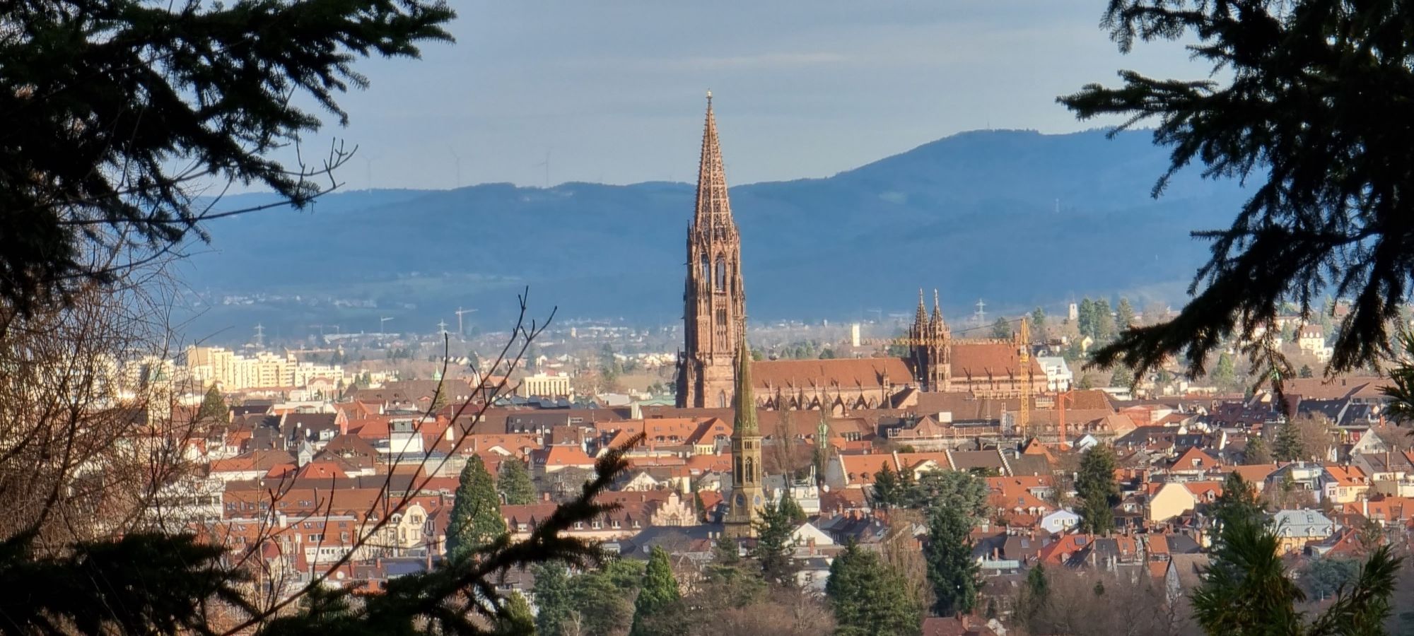 Blick auf Freiburg
