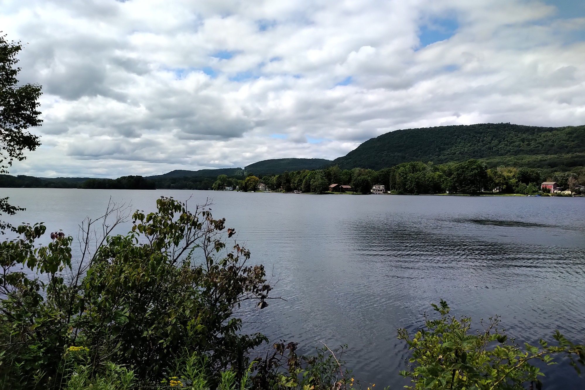 A wide lake with forested hills and distant houses under a cloudy sky. - Ashuwillticook Rail Trail Head loop from North Adams