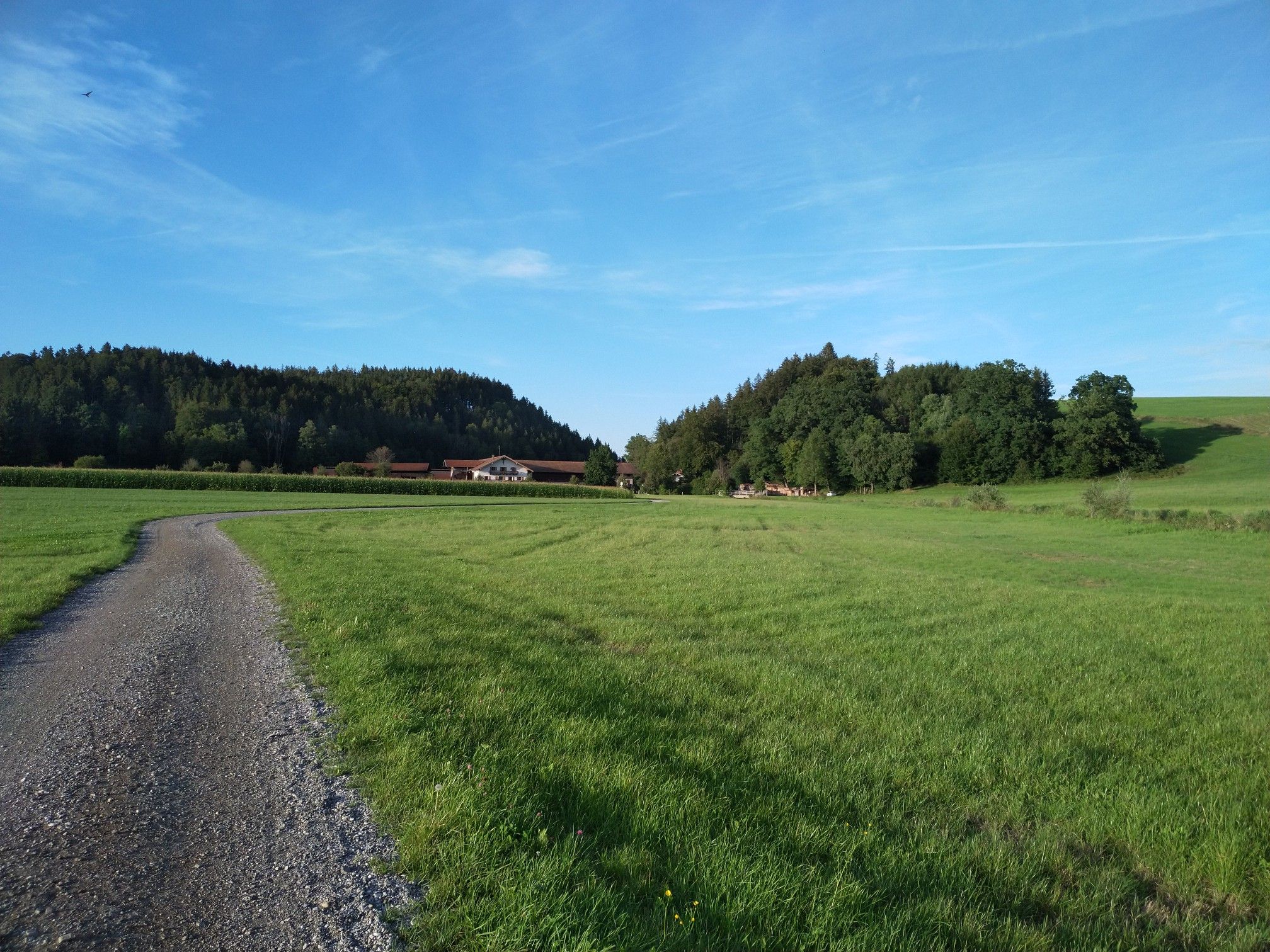 Kupferbachtal kurz vor dem Reisenthaler Hof