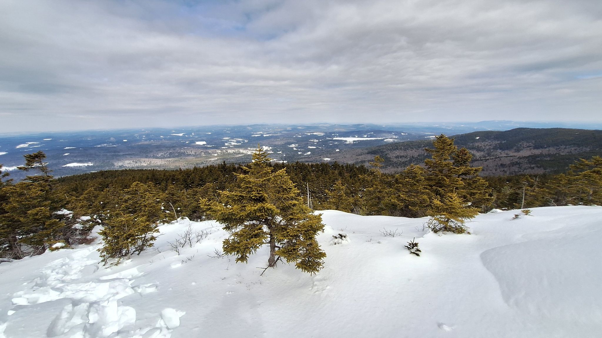 Snowy mountain vista with evergreen trees under a cloudy sky. - Dublin Trail