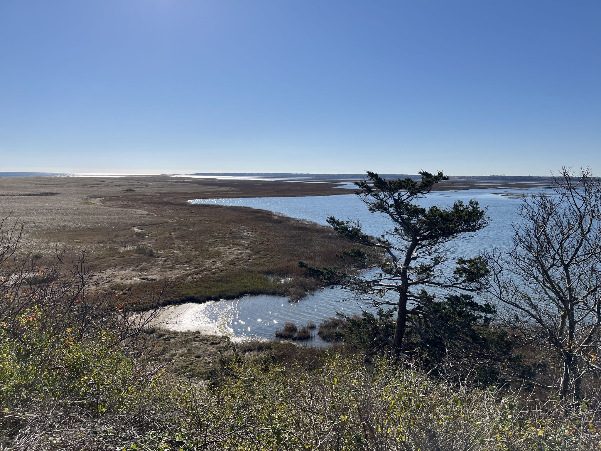 Elevated view of a marsh, calm water, and distant land on a clear day. - Nauset Bicycle Trail