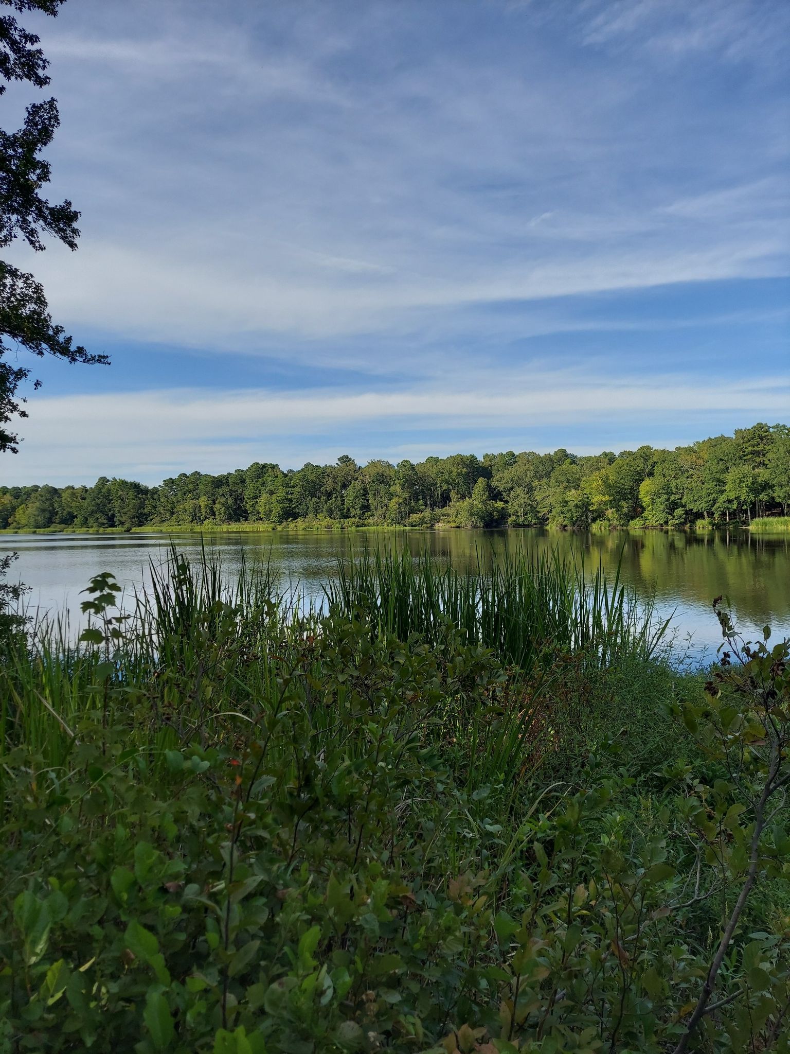 Bringle Lake