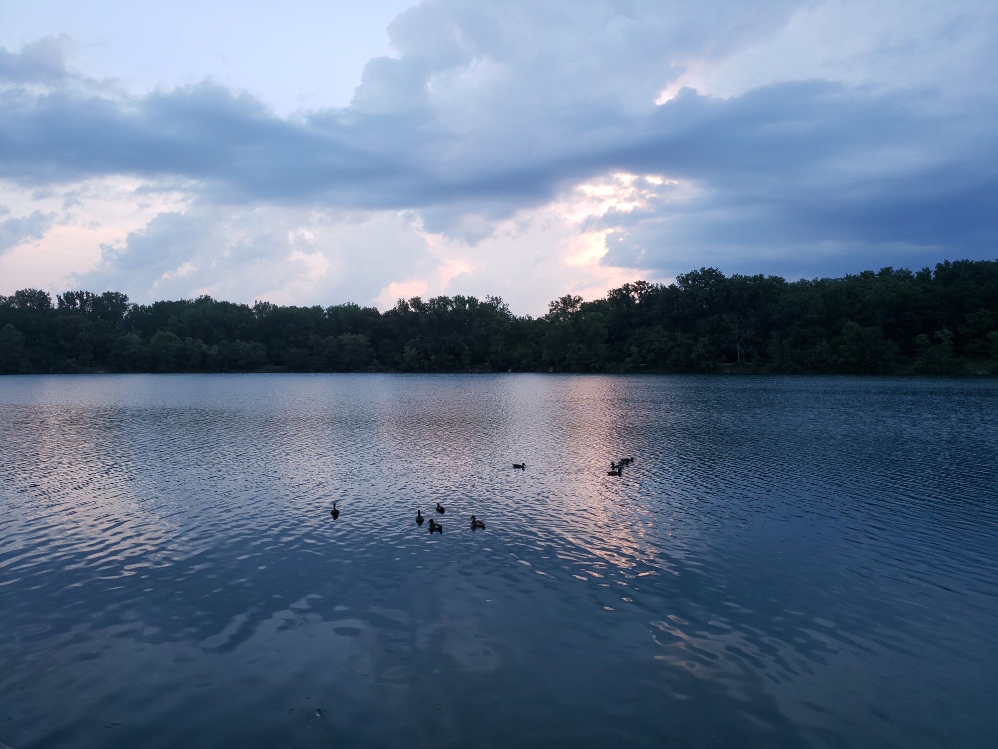 Dark lake with ducks, forested shore, and cloudy evening sky. - Antrim Lake Deck – Olentangy Trail loop from Perry Township