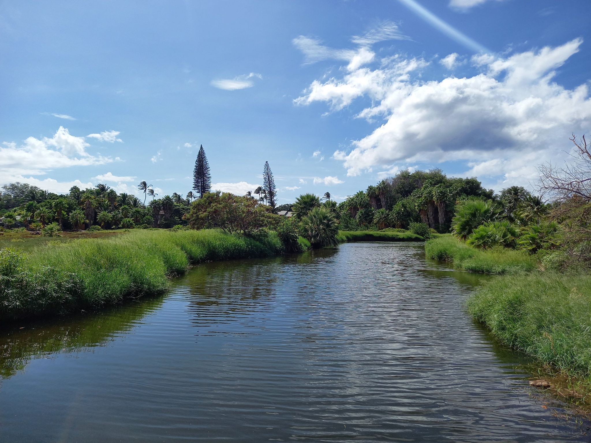 Calm river flowing through lush green banks under a bright blue sky. - Ma'alaea & Mākena State Park via Pi'ilani Highway loop