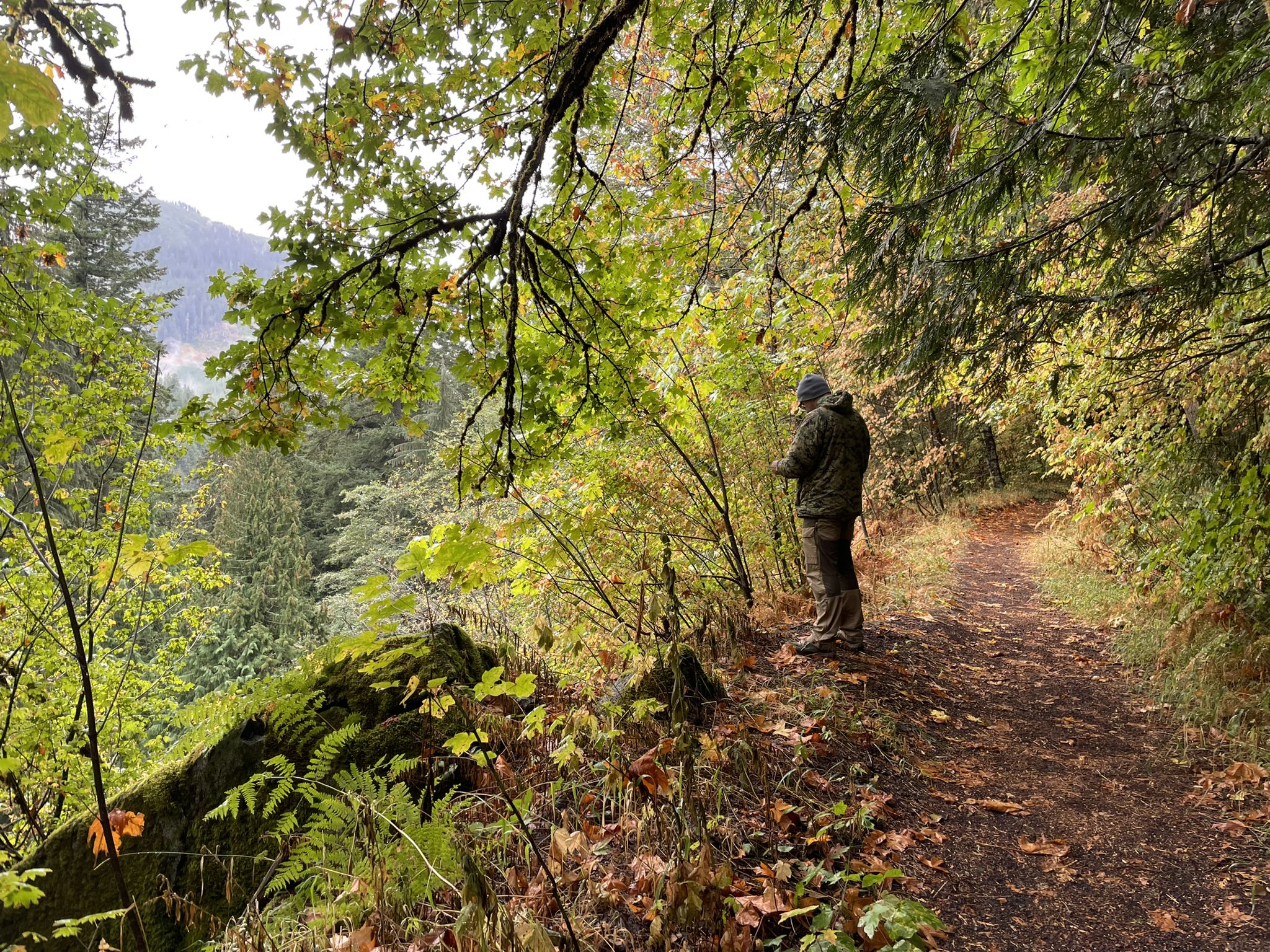 Man in a jacket standing on a forest trail overlooking a valley. - Iron Goat Trail to Twin Tunnels