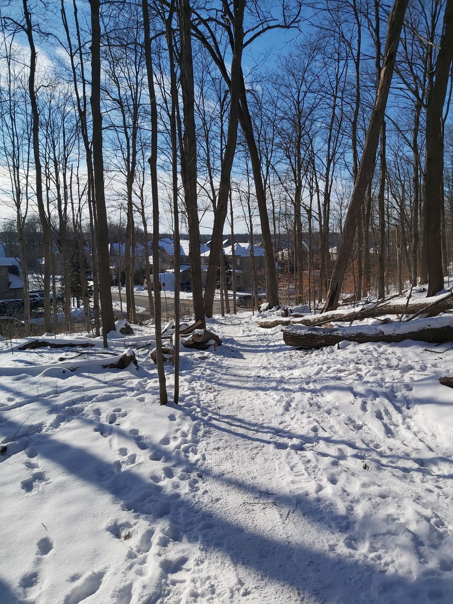 forest exit. home+45mins