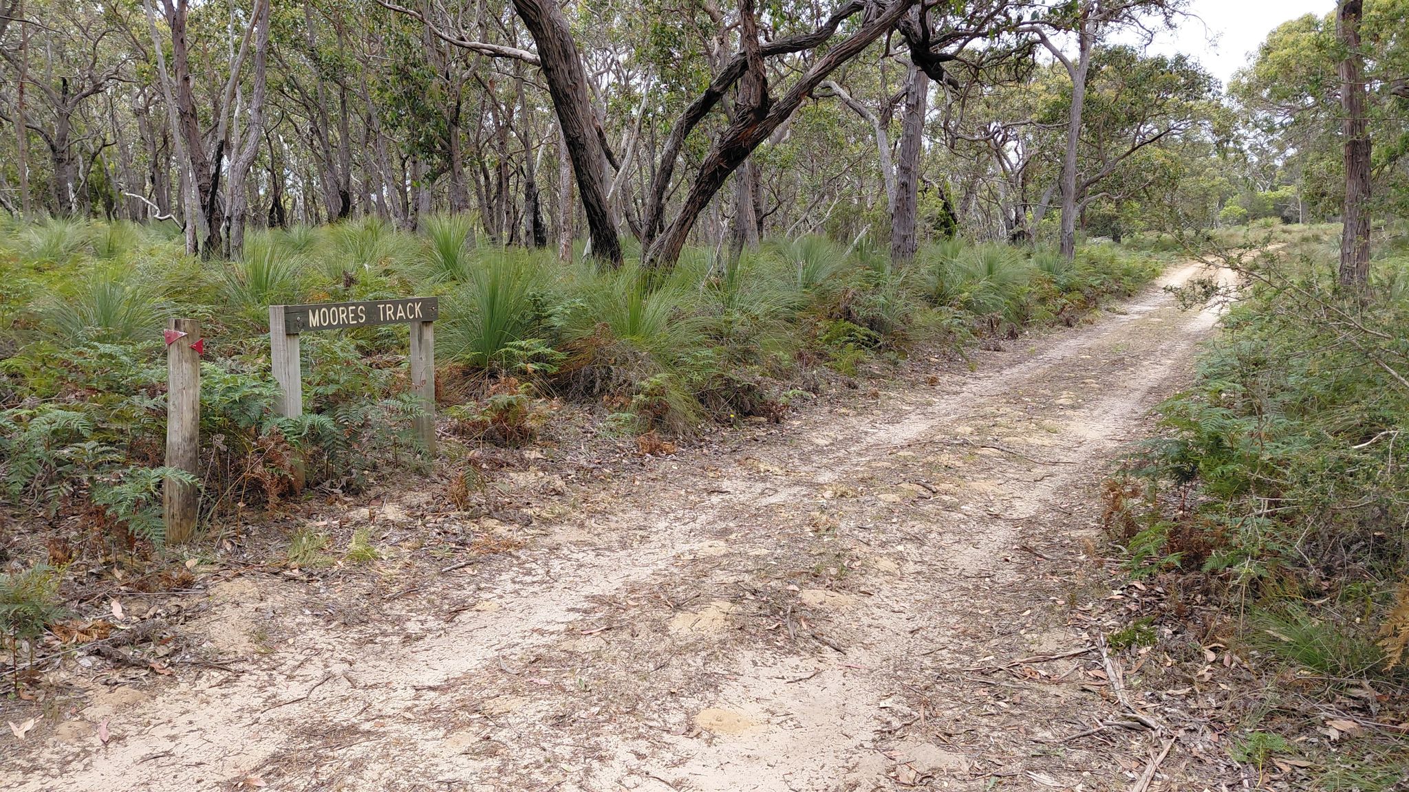 Moores Track turnaround point