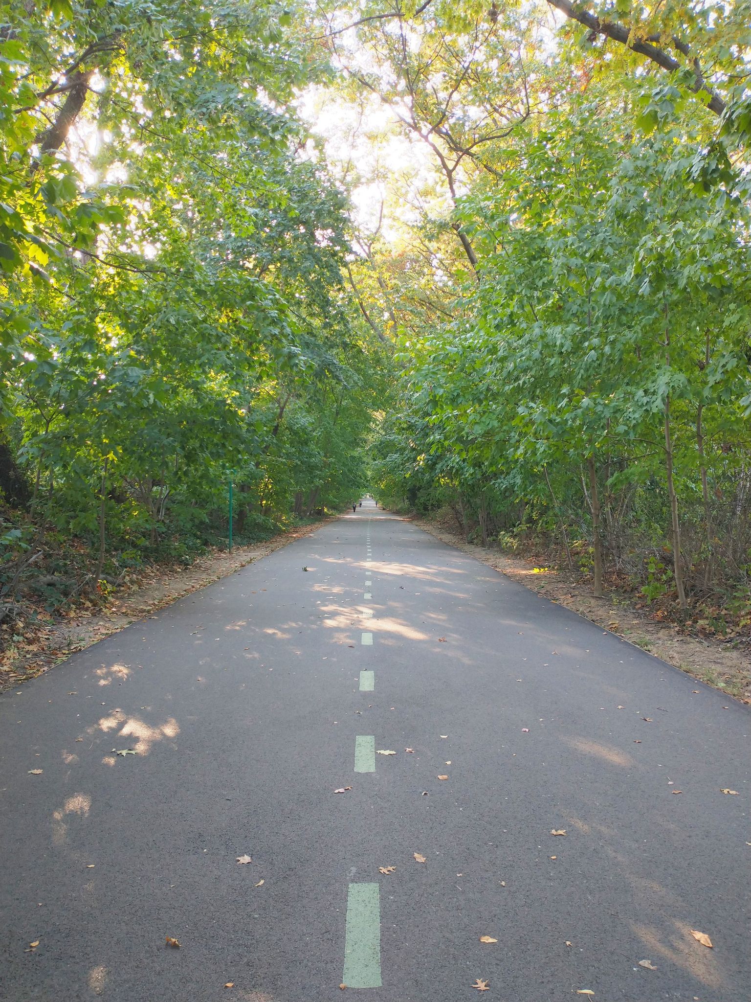 Vanderbuilt Motor Parkway