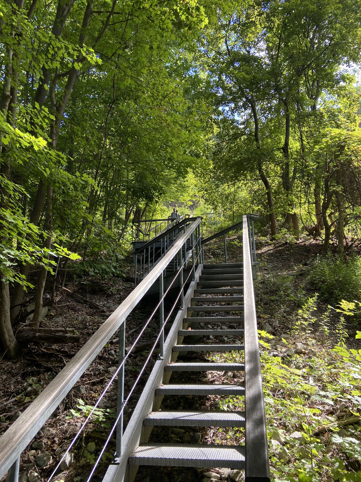 A long metal staircase ascends steeply through a vibrant green forest. - Mount Beacon Park – Stairs loop from City of Beacon