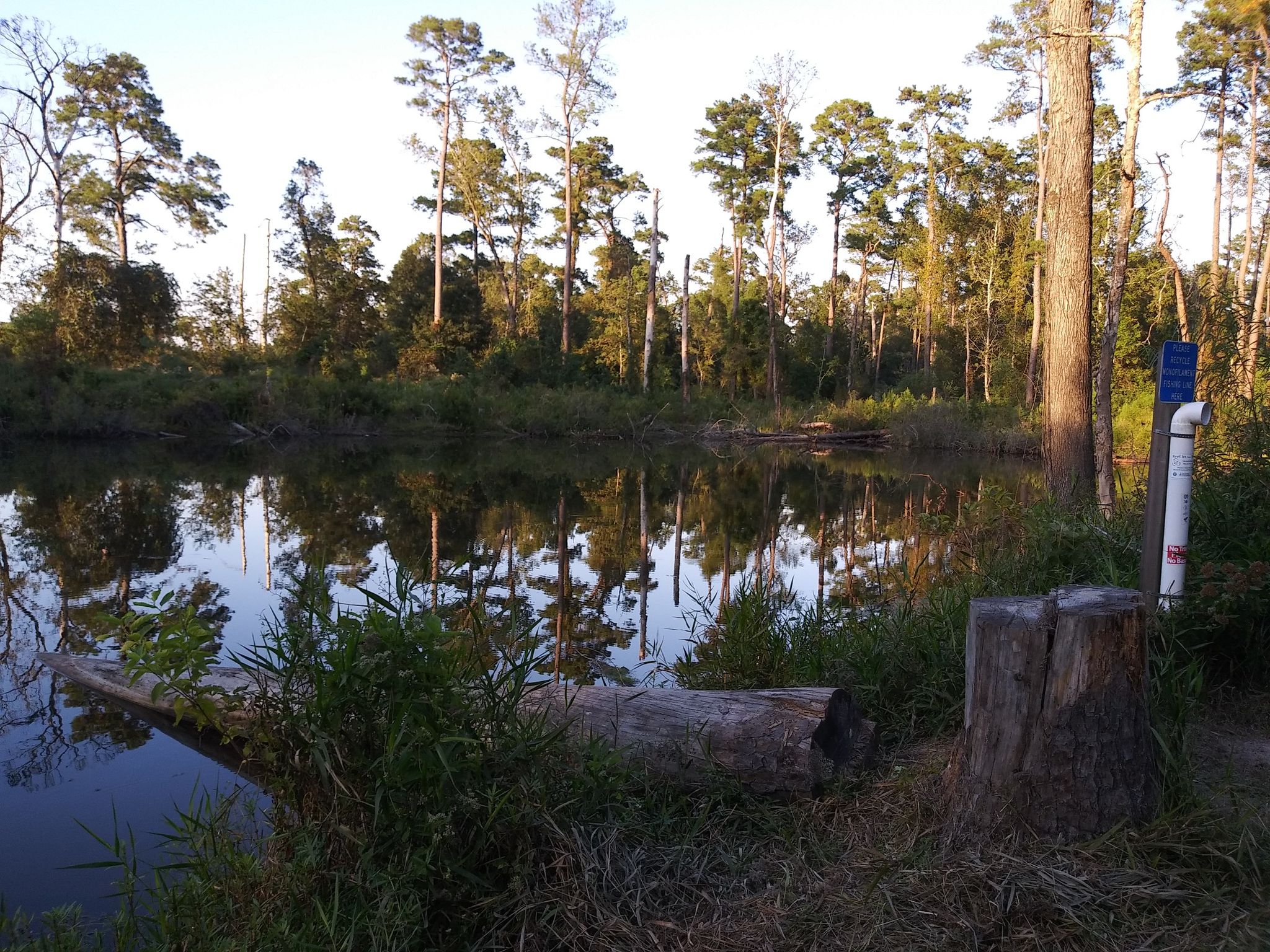 Calm water reflects tall trees under a warm, clear sky. - Spring Creek – Pundt Park loop from Bibi and Mini-Me Bush Dog Park