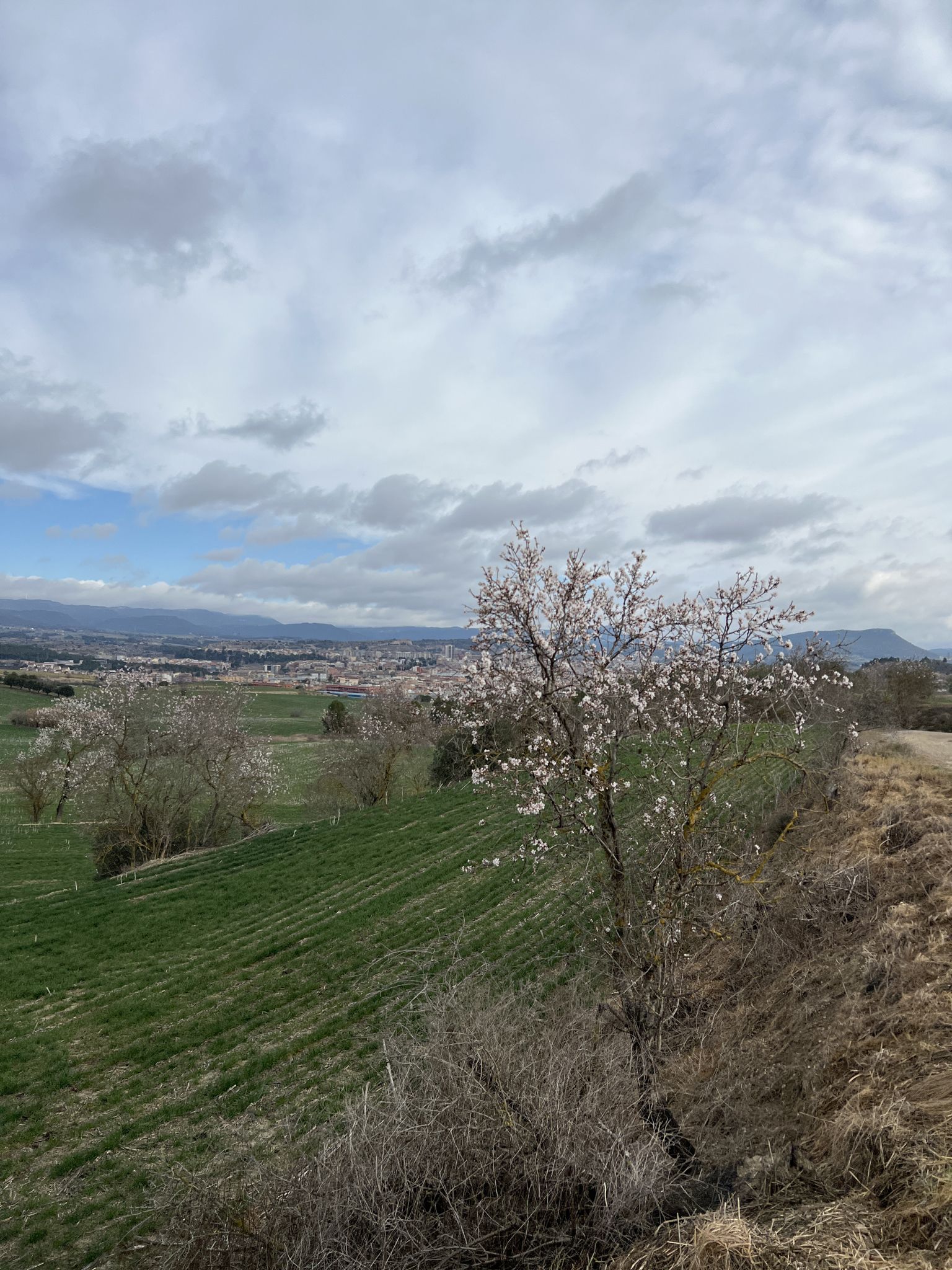 Igualada desde els peus de La Tossa
