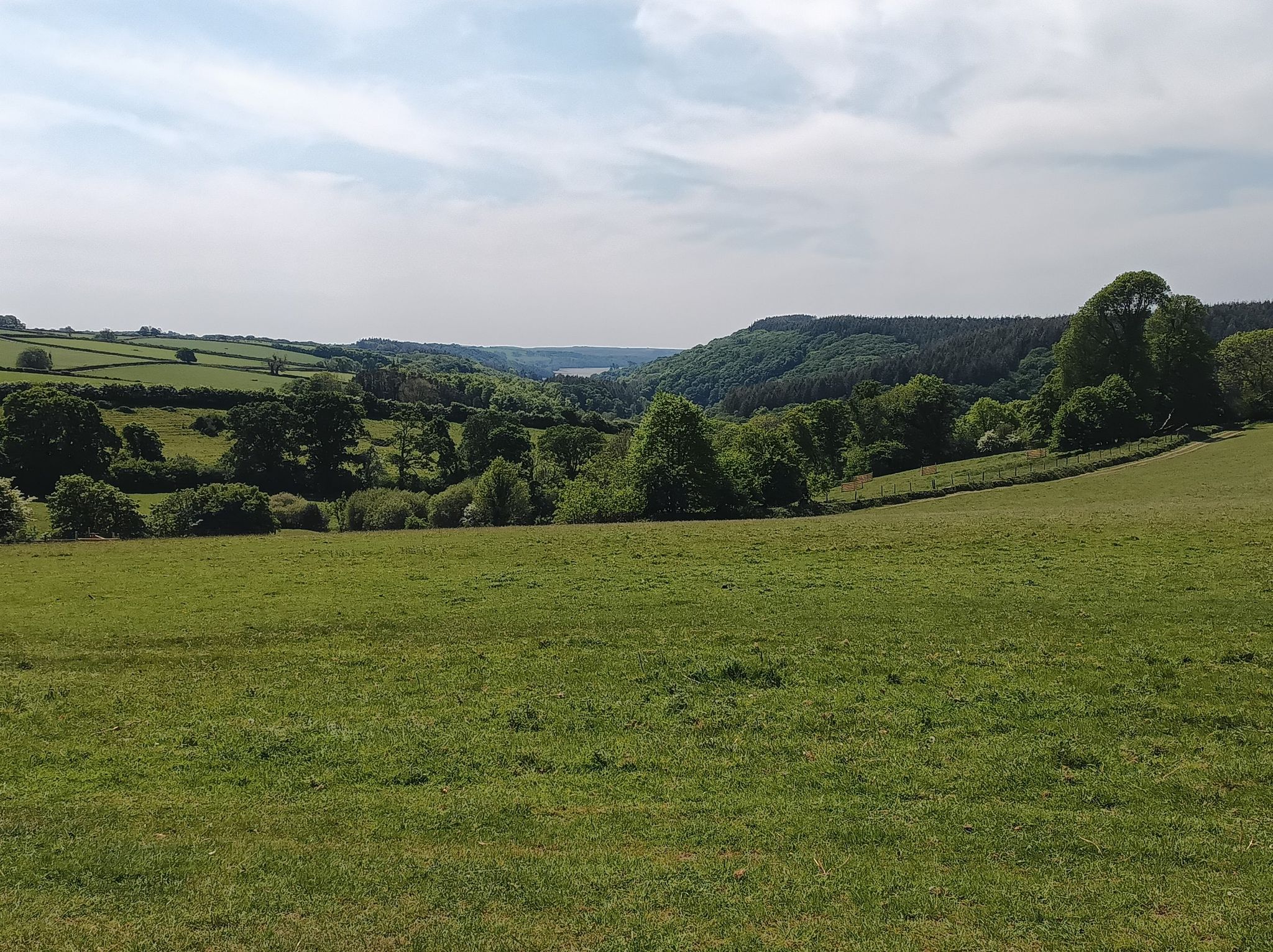 Buckland Estate