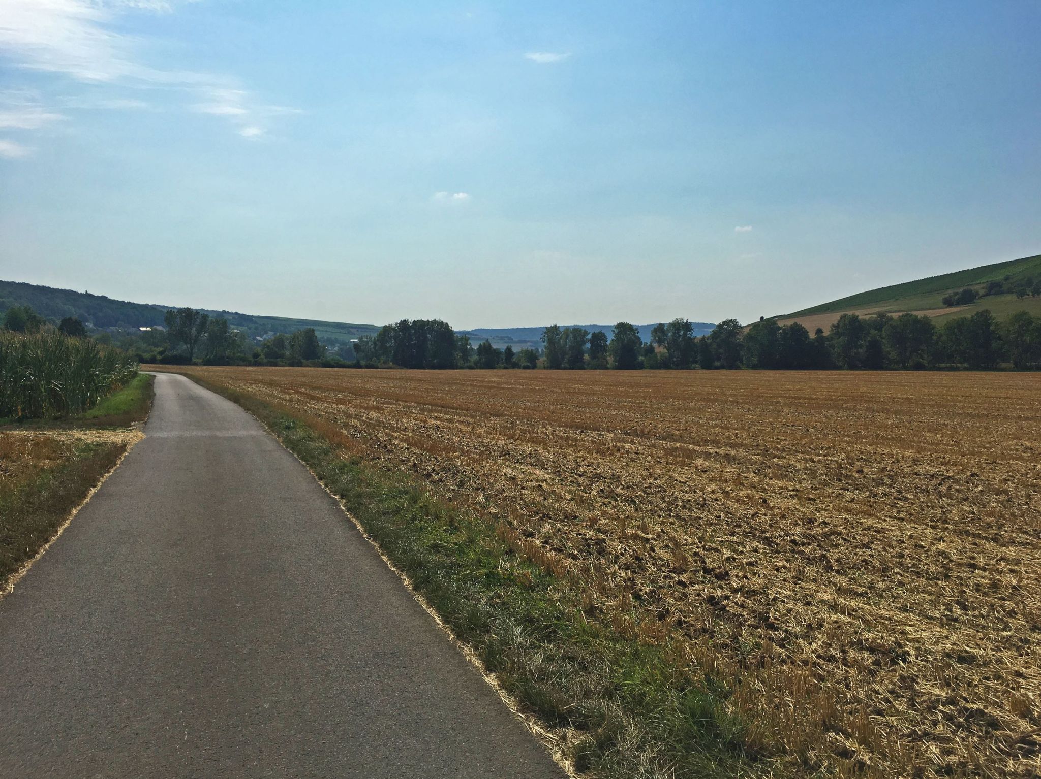Vor Riedenheim
