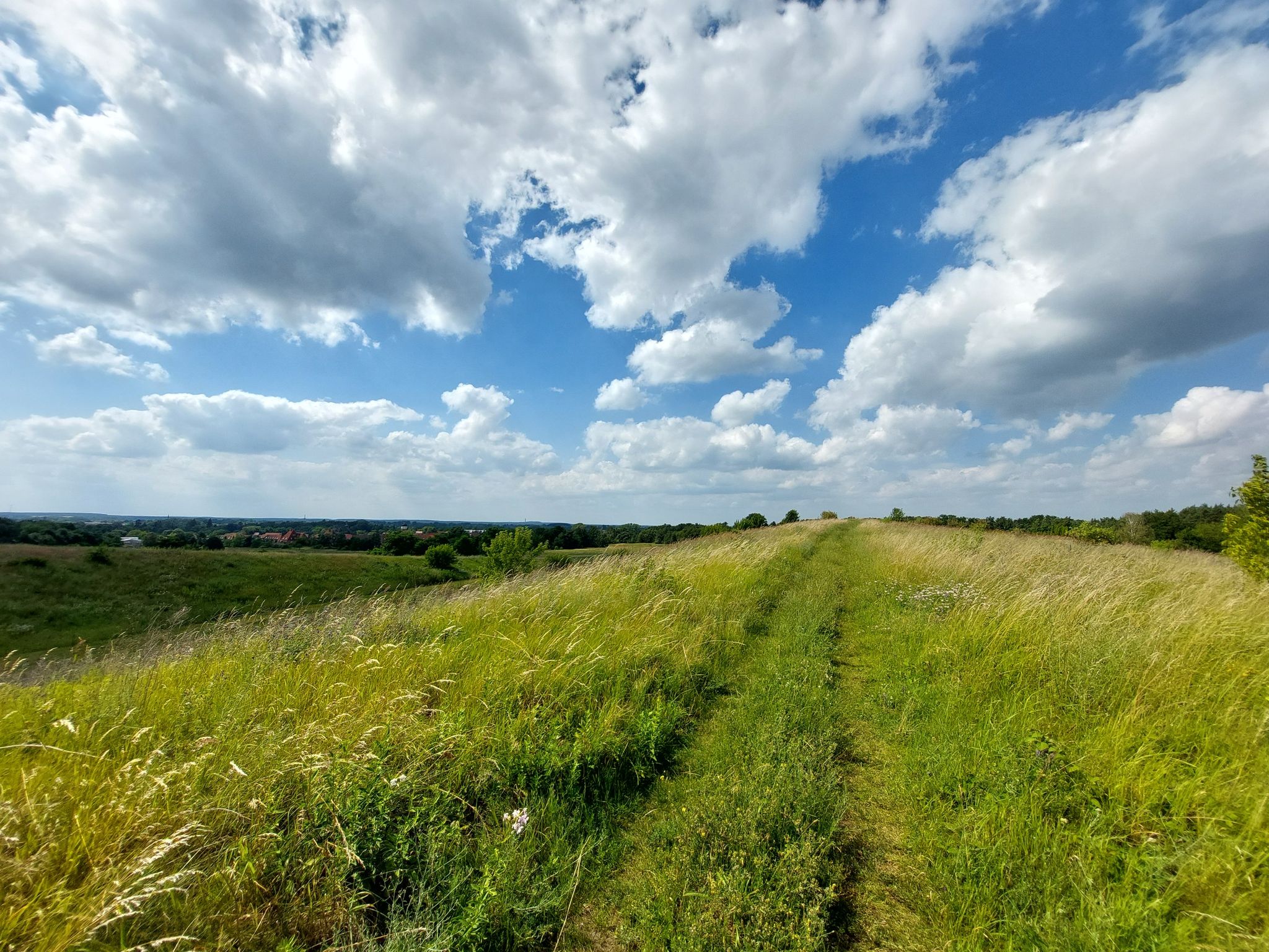 Naturbelassener Weg 👍