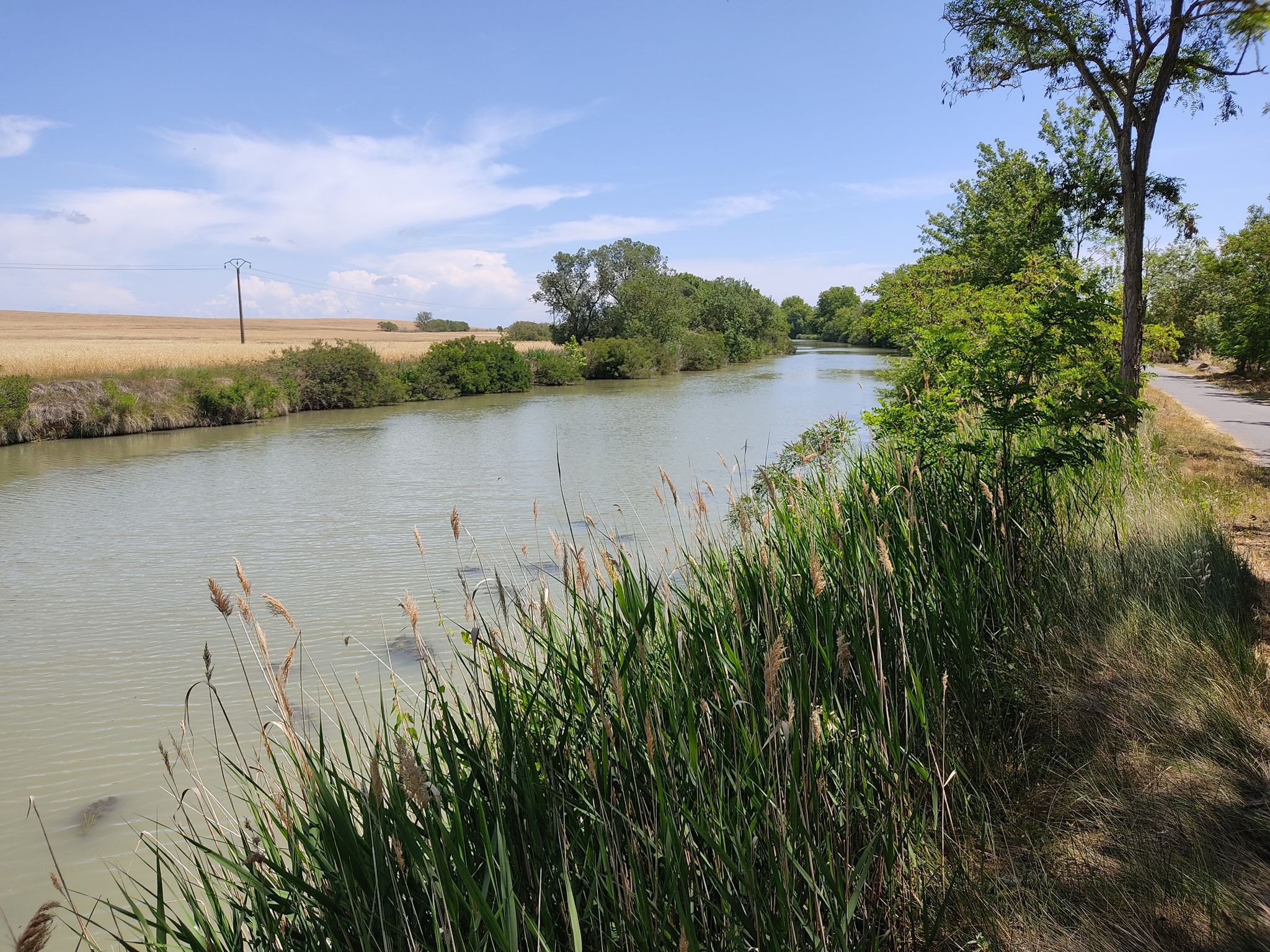 Canal du midi