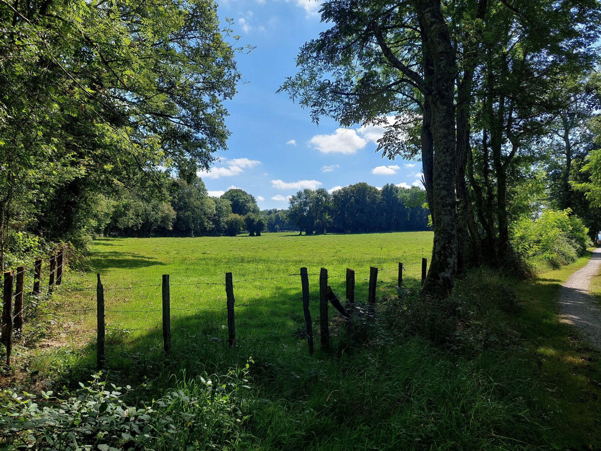 Kreuzweg II