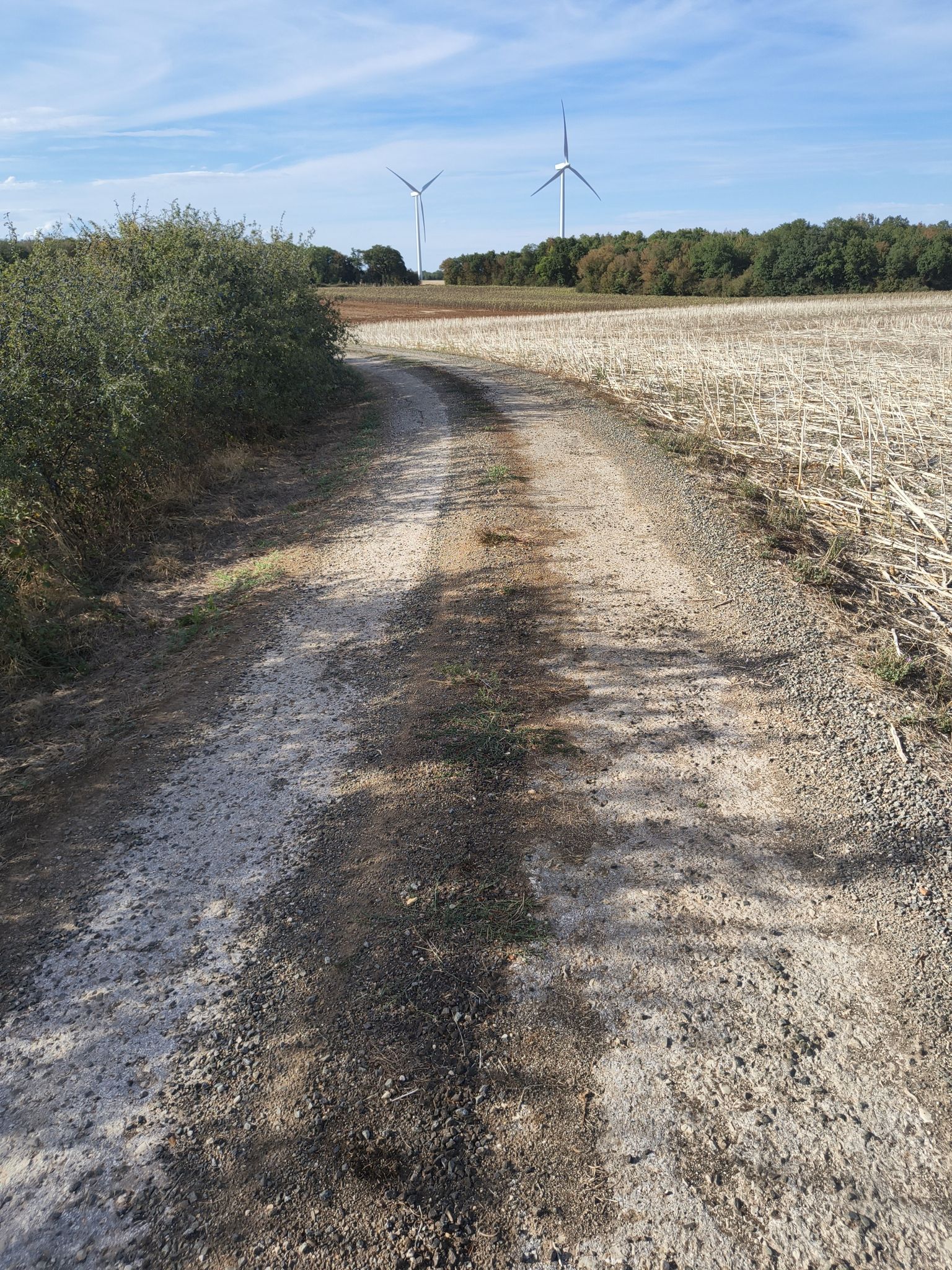 Chemin bitumé 
