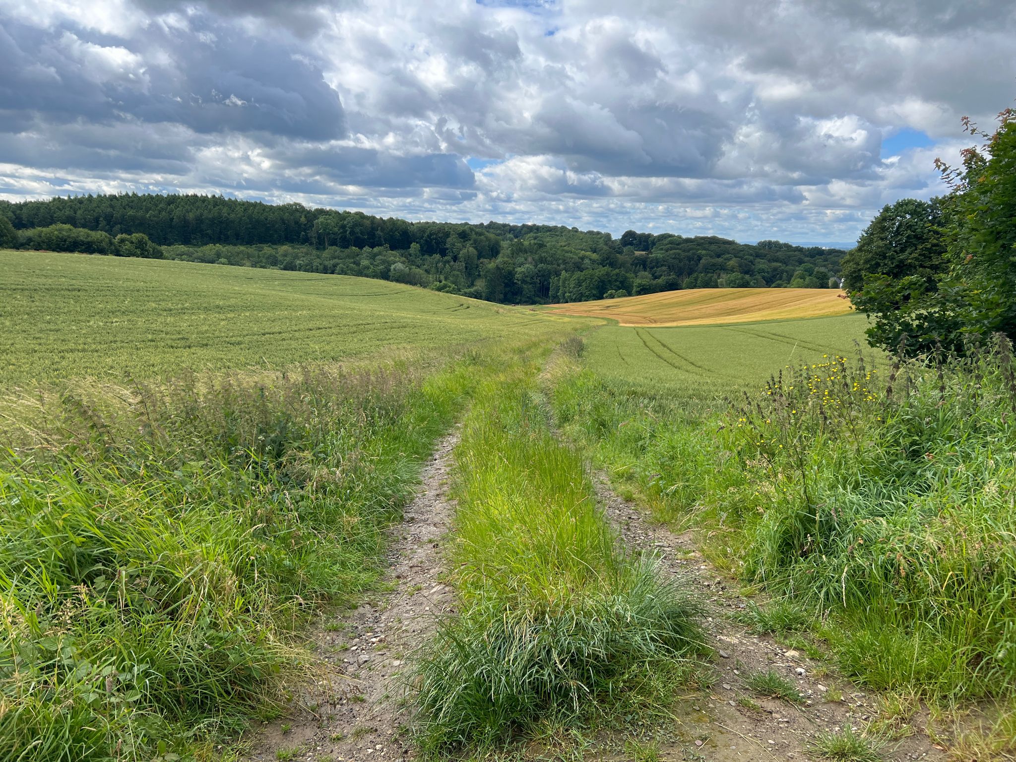 Blick zurück