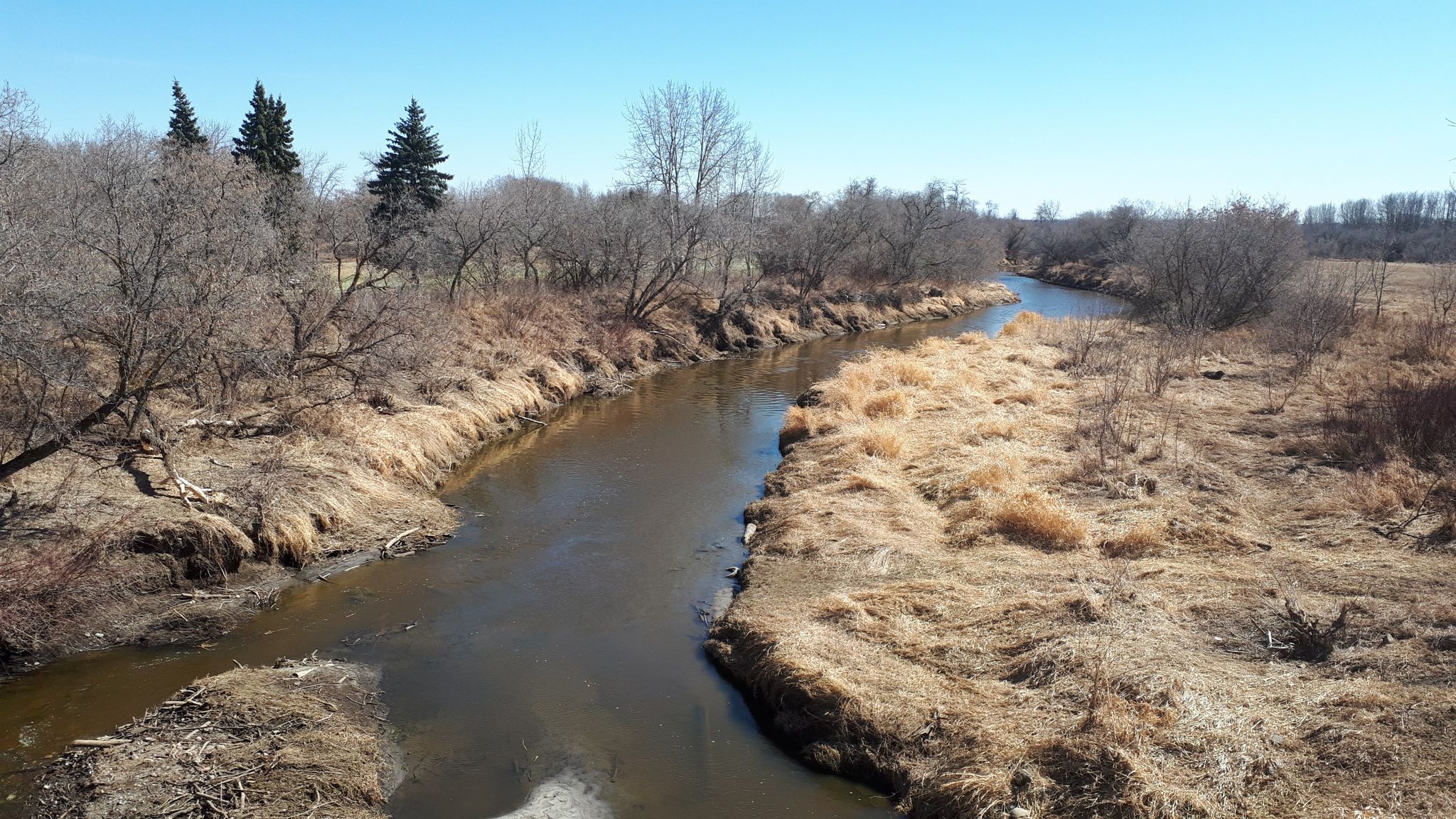 Sturgeon River before it reaches Big Lake.