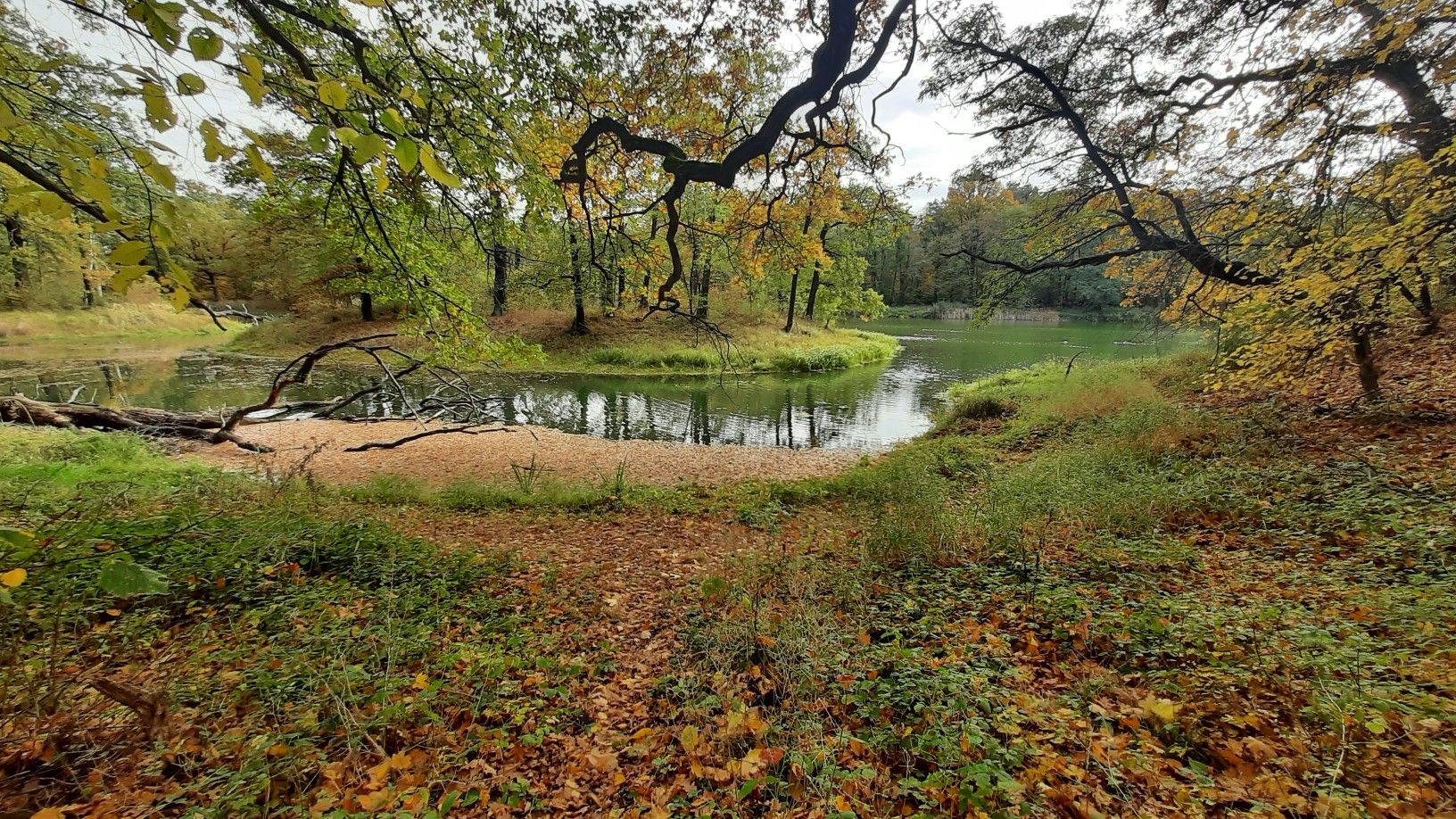 Wallwitzsee