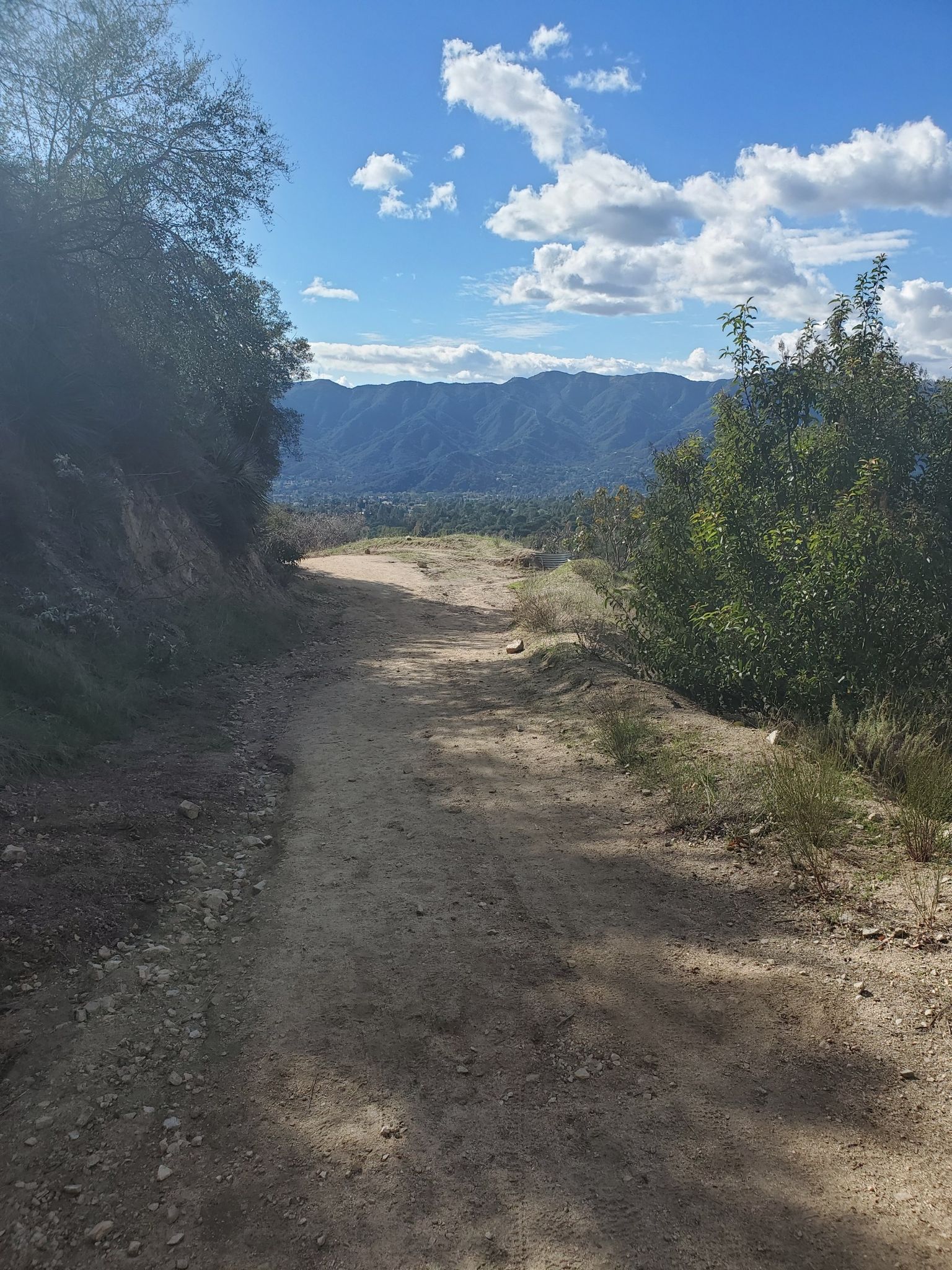 Dirt path winding through green foliage with distant mountains. - Earl Canyon Motorway Trail
