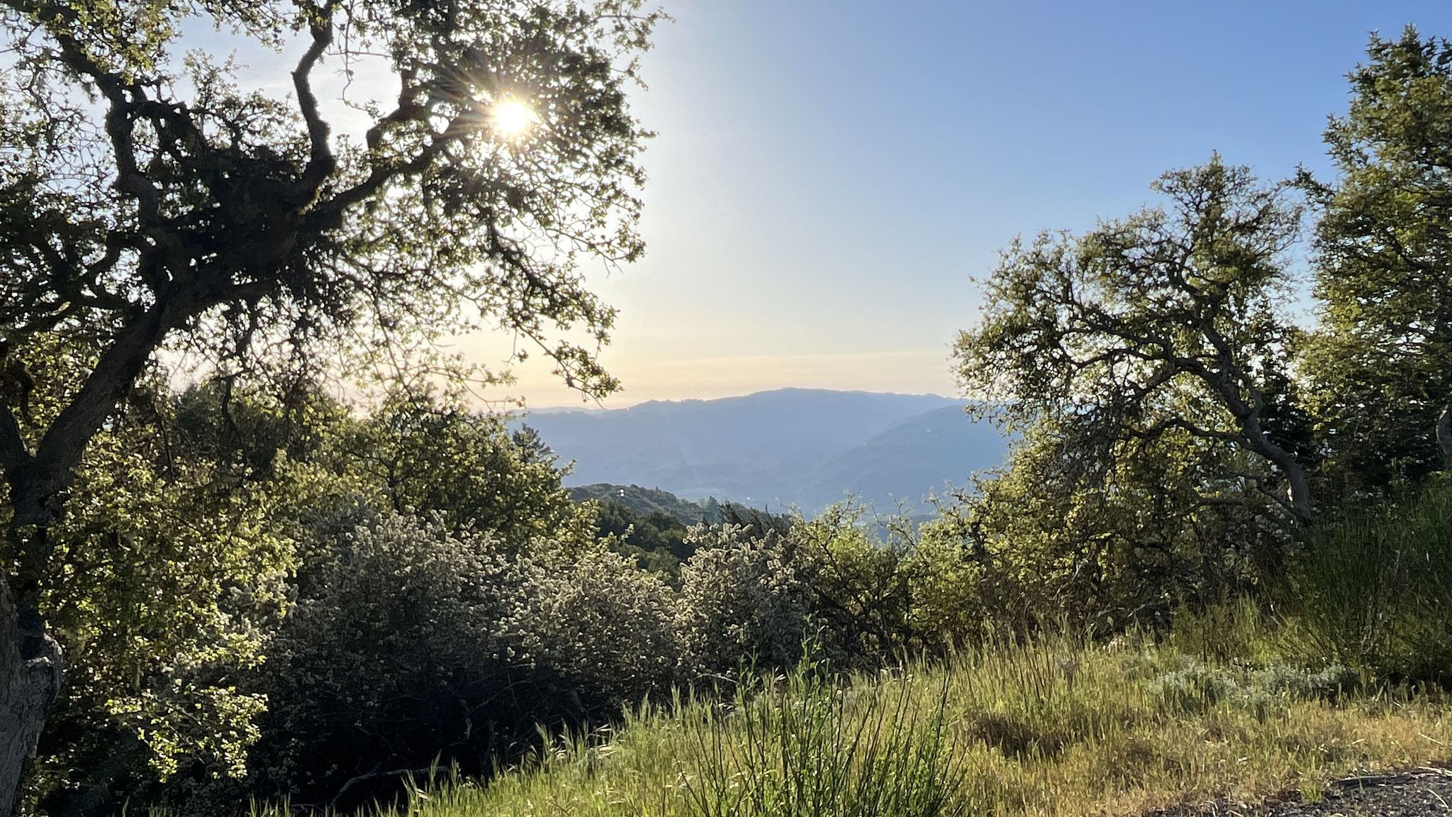 Bright sun shines through trees over distant mountains and green hills. - Soda Springs Road