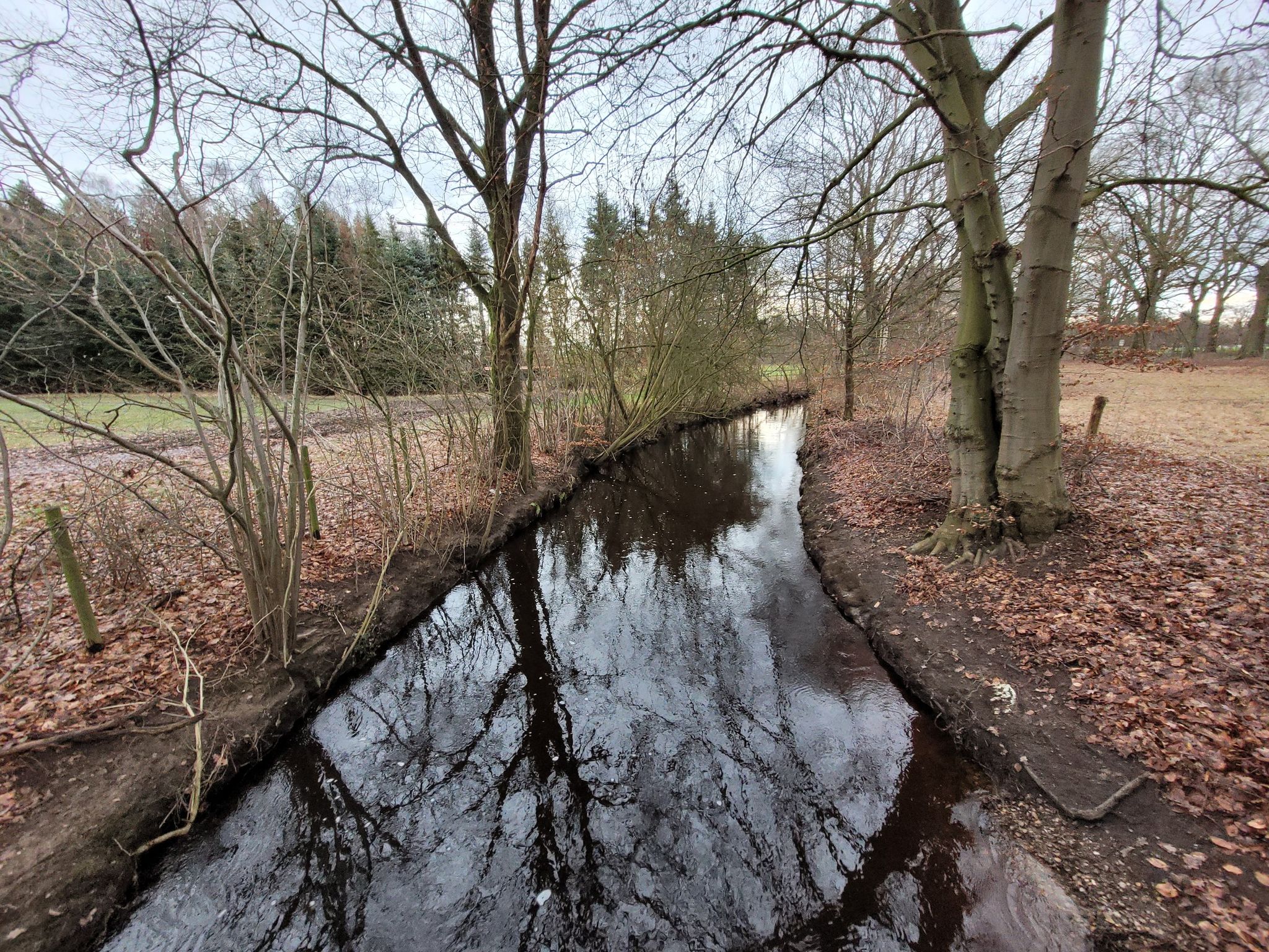 Die Mühlenau fließt später in die Pinnau, diese in die Elbe