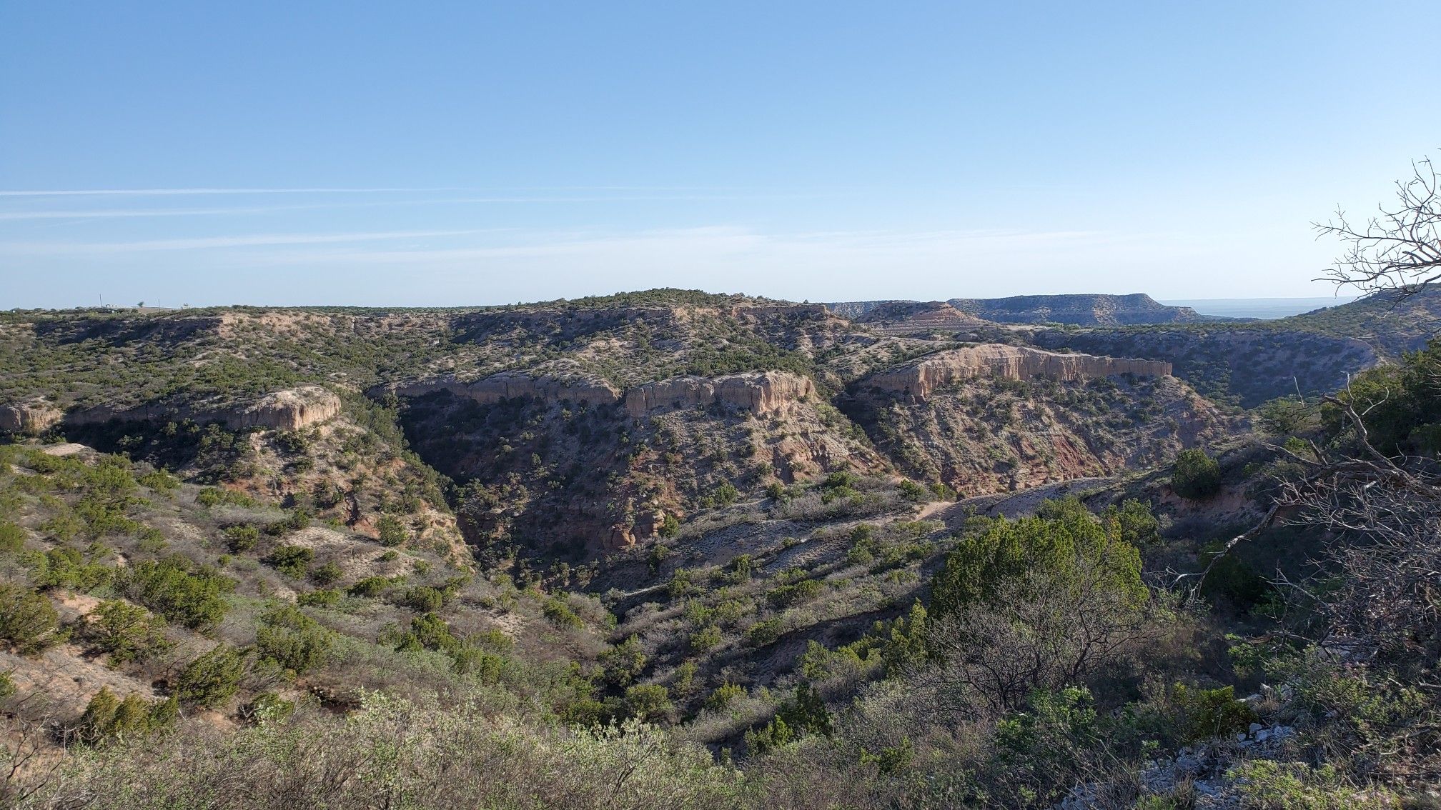Expansive view of a rugged canyon with green-topped mesas under a clear sky. - Haynes Ridge and Upper North Prong Trail Loop