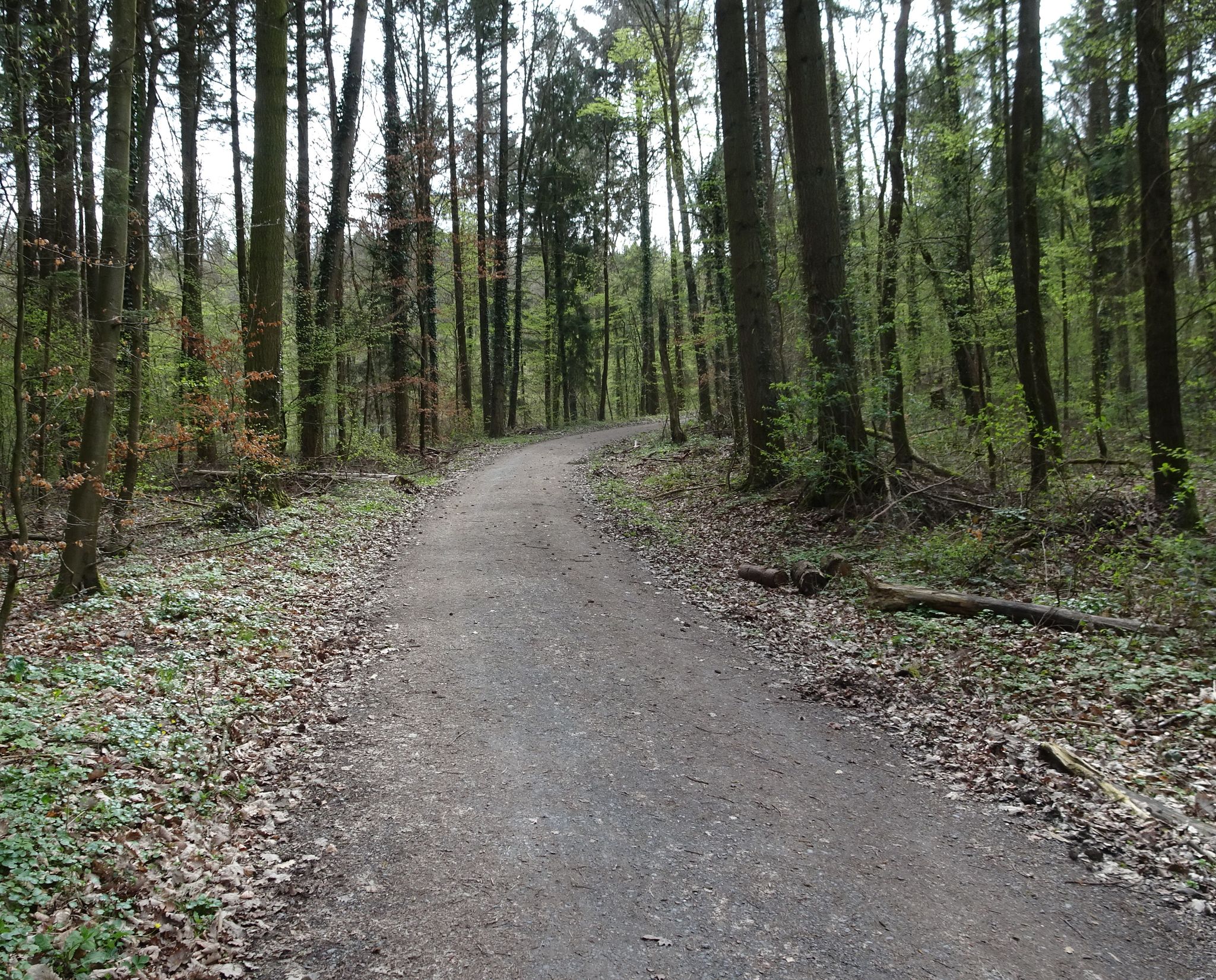 Radweg nach Elsenz