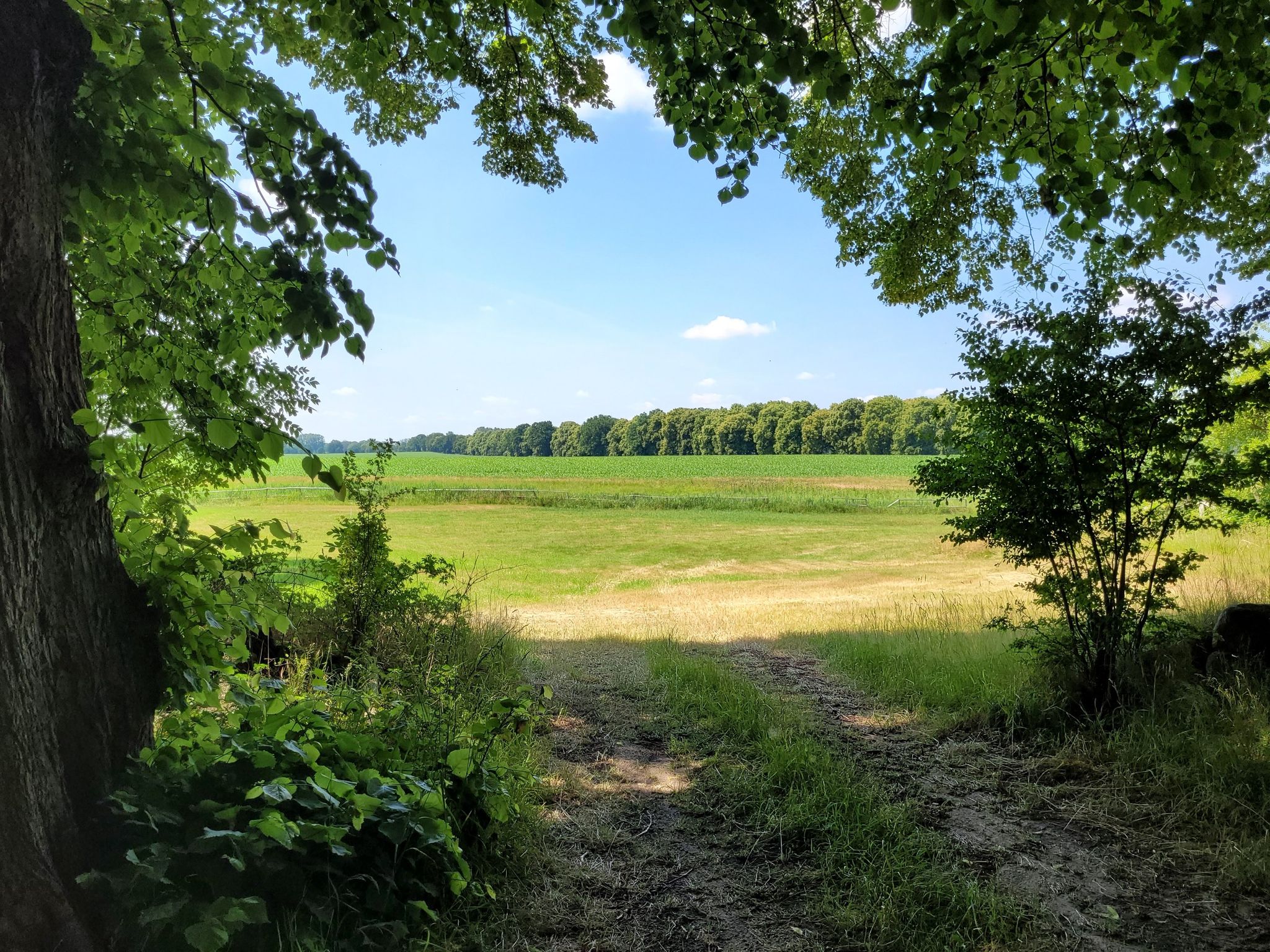 Aussicht