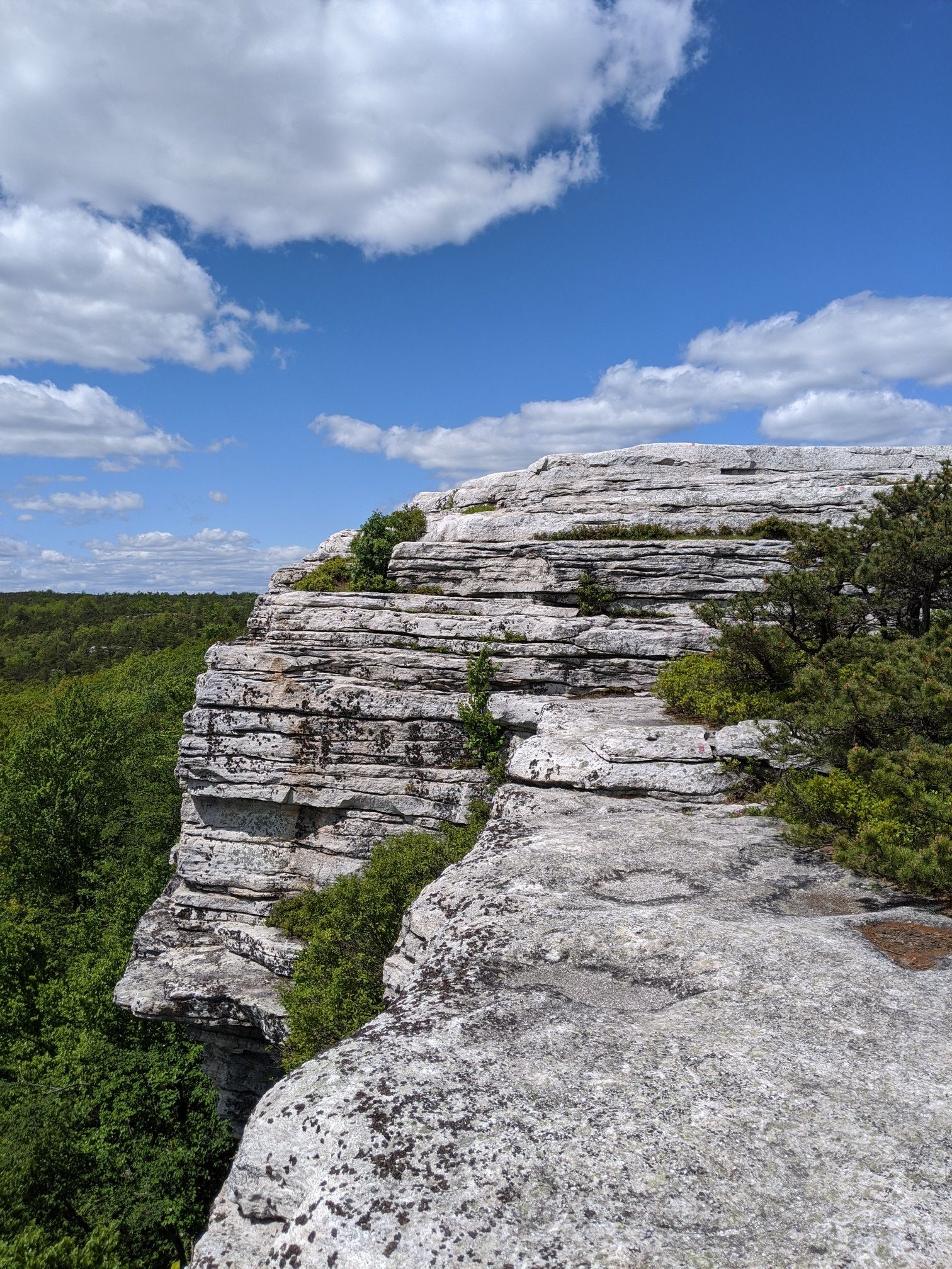 Layered gray rock cliffs overlook a vast green forest under a bright blue sky. - Sam's Point and Verkeerderkill Falls Loop