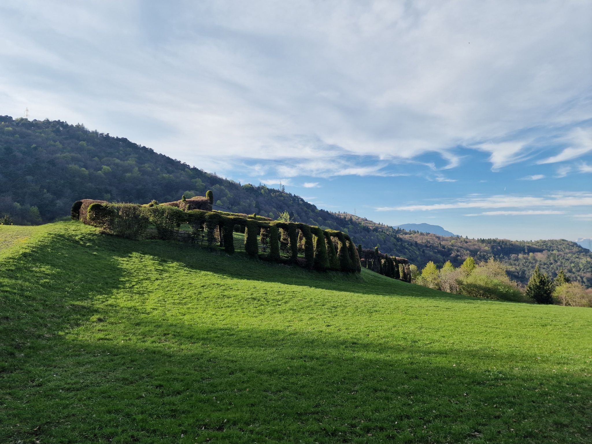 Il Roccolo del Sauch