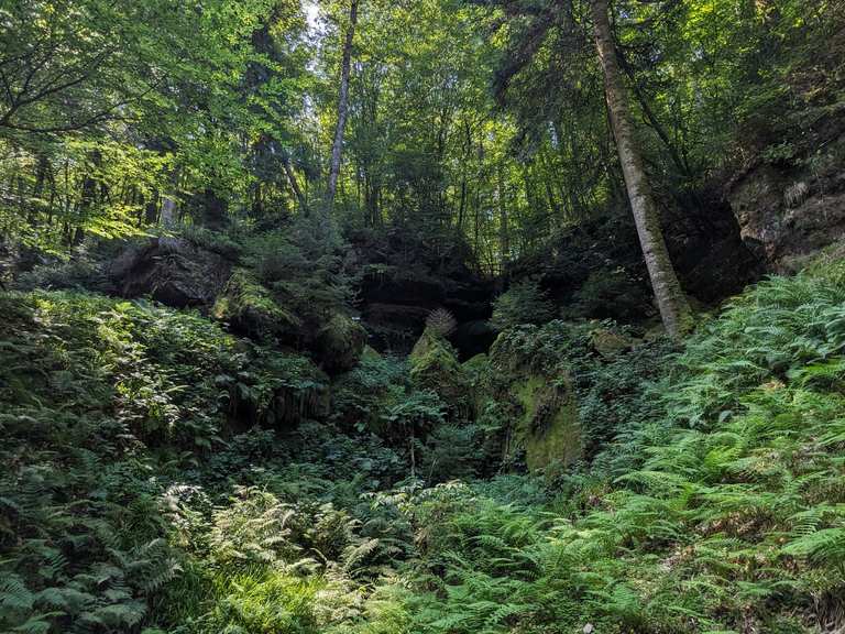 La Roche Du Serpent La Grotte De L'Ours Wanderung Komoot — free download