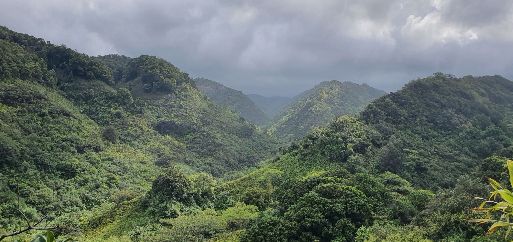 Lush green mountains and valleys under an overcast sky. - Waimano Upper and Lower Loop Trail