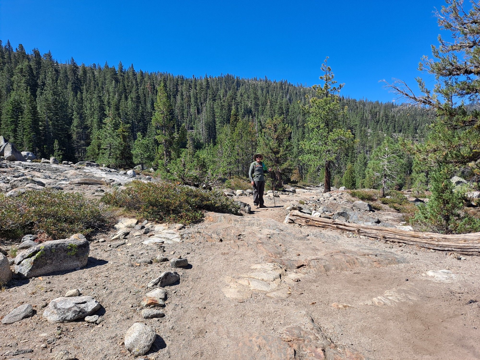 A person hikes on a sunny, rocky trail through a pine forest. - Loch Leven and Salmon Lake Trail Loop