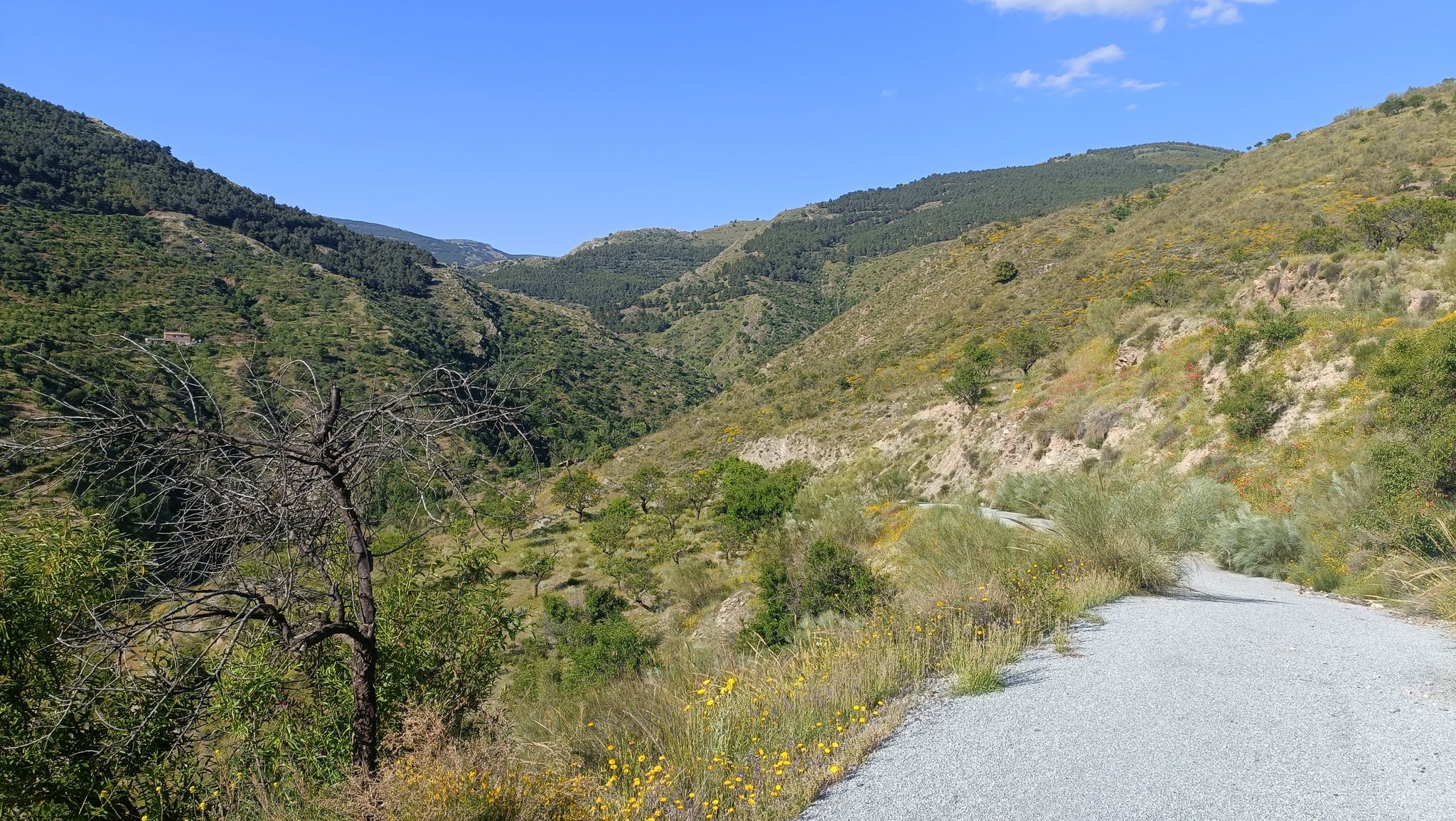 Salendo verso El Cortijuelo.