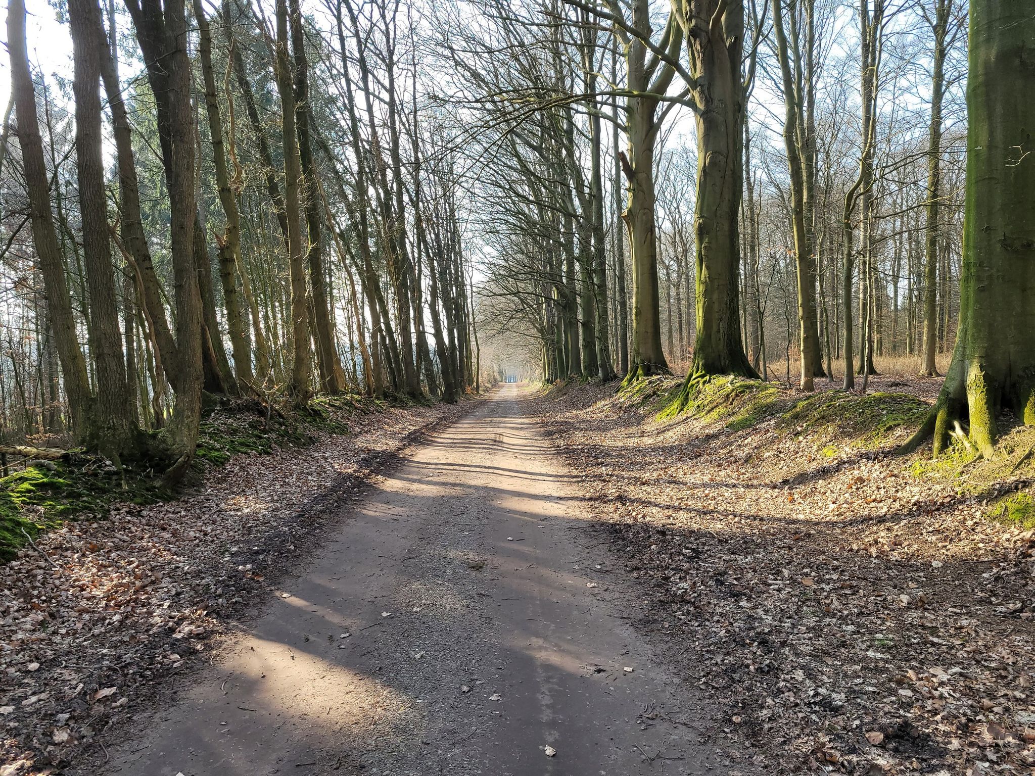 So eine schöne  Strecke😊