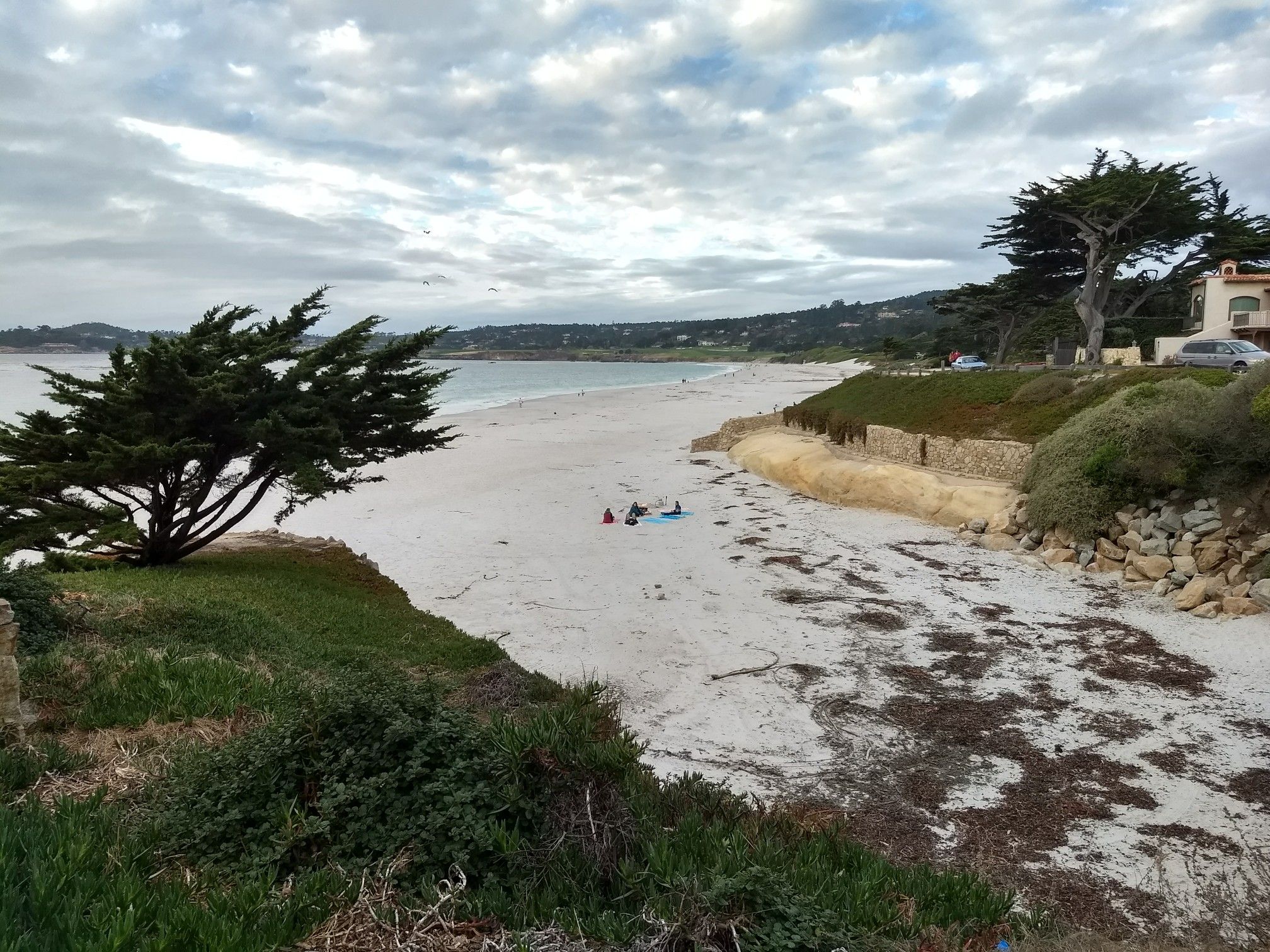 Overcast view of a sandy beach with a large tree and distant ocean. - Carmel Beach – Carmel-by-the-Sea loop from Mission San Carlos Borromeo de Carmelo
