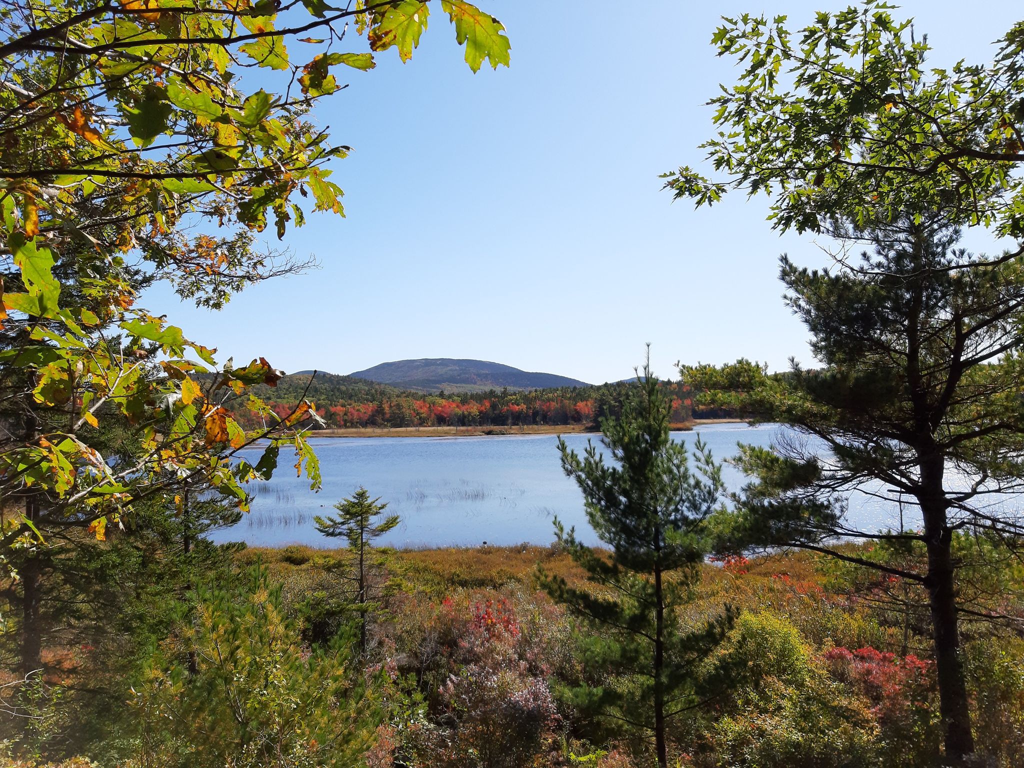Lake framed by autumn trees, distant mountains, under clear blue sky. - Witch Hole Pond Loop