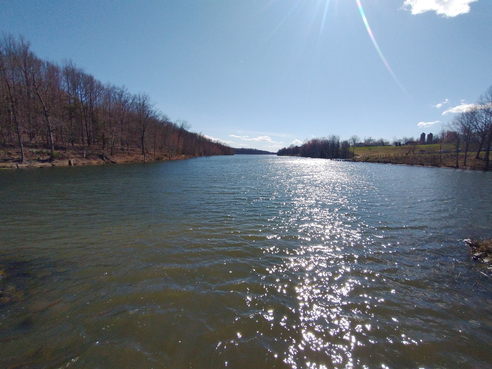 Wide lake with sun glare, surrounded by bare trees under a bright sky. - Cabin Branch, Hamilton, and Hard Rock Trail Loop