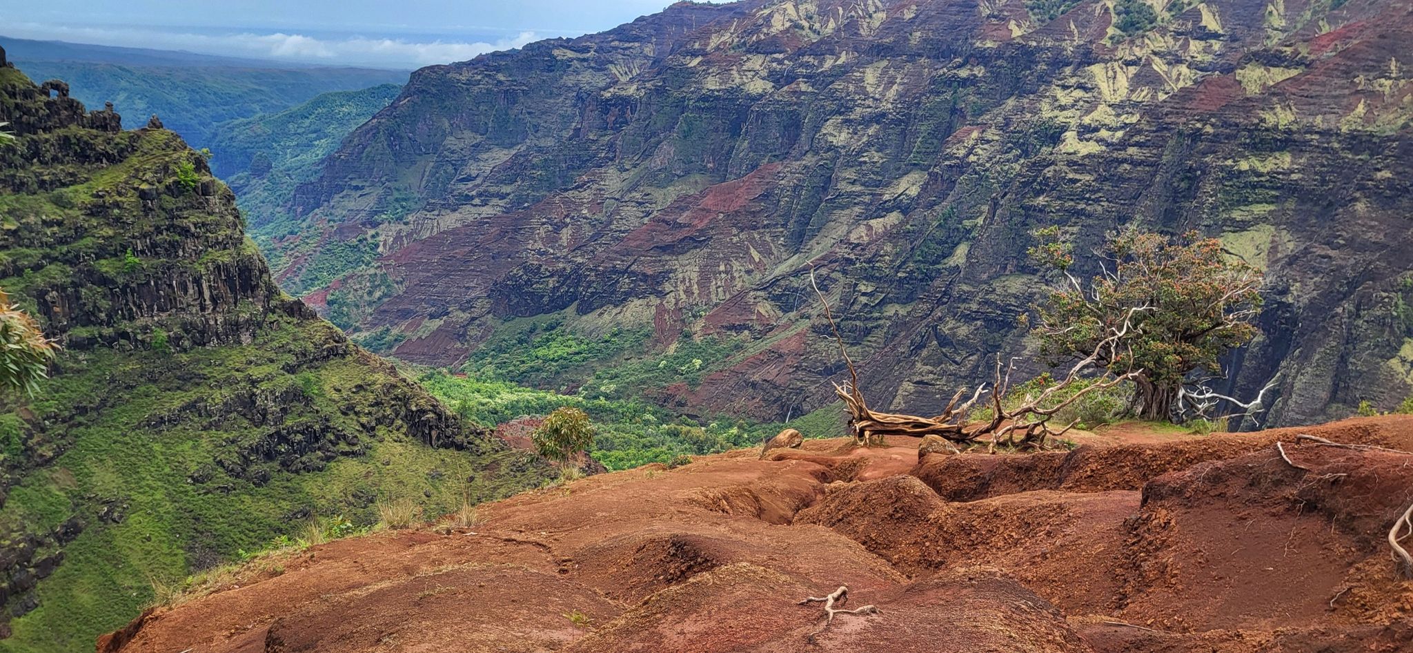 Steep red earth cliff overlooks a vast, colorful canyon and green valley. - Waimea Canyon Lookout – Upper Waipo'o Falls loop from Halemanu