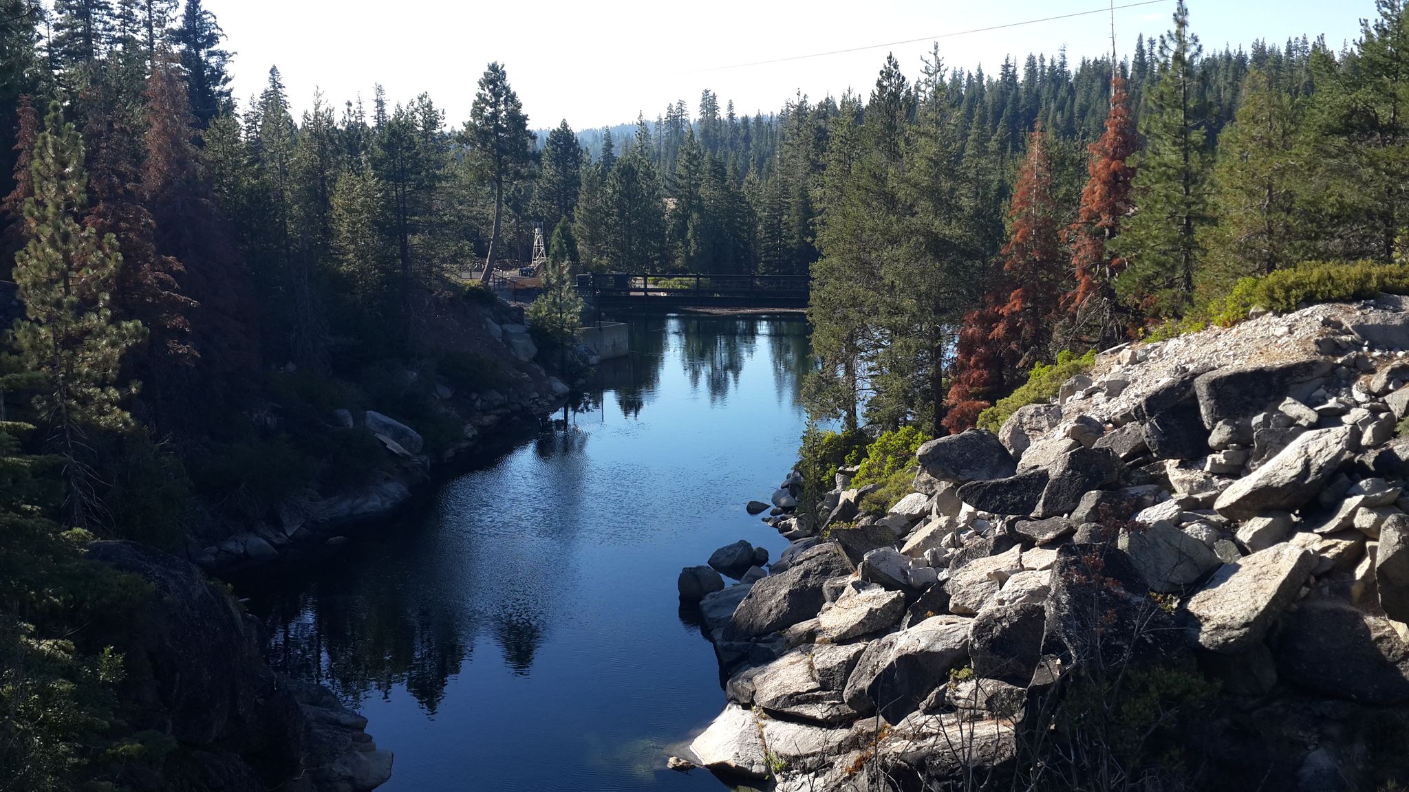 A calm river flows through a rocky gorge surrounded by dense pine trees. - Loon Lake